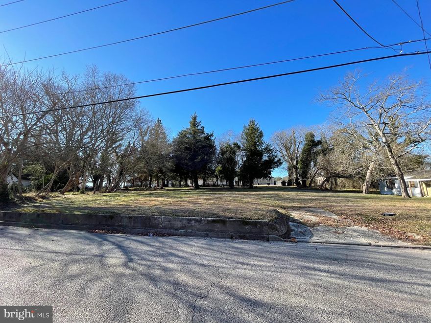 Lot includes two adjoined parcels. Parcels 285 and 286 were recently joined and are included in new  plat, currently in the process of being recorded and described as Revised Parcel 285

Incredible location to build a new home in Snow Hill!