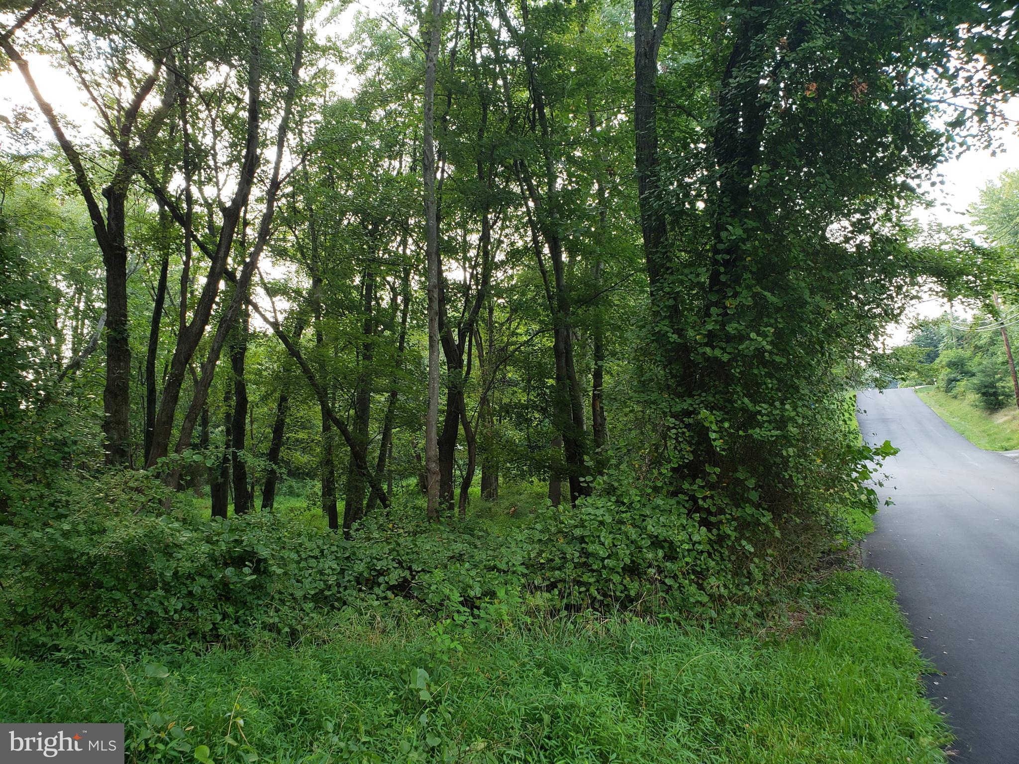 KENTLAND FARMS - Land