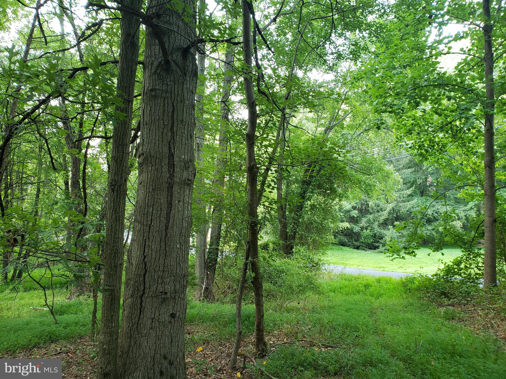 KENTLAND FARMS - Land