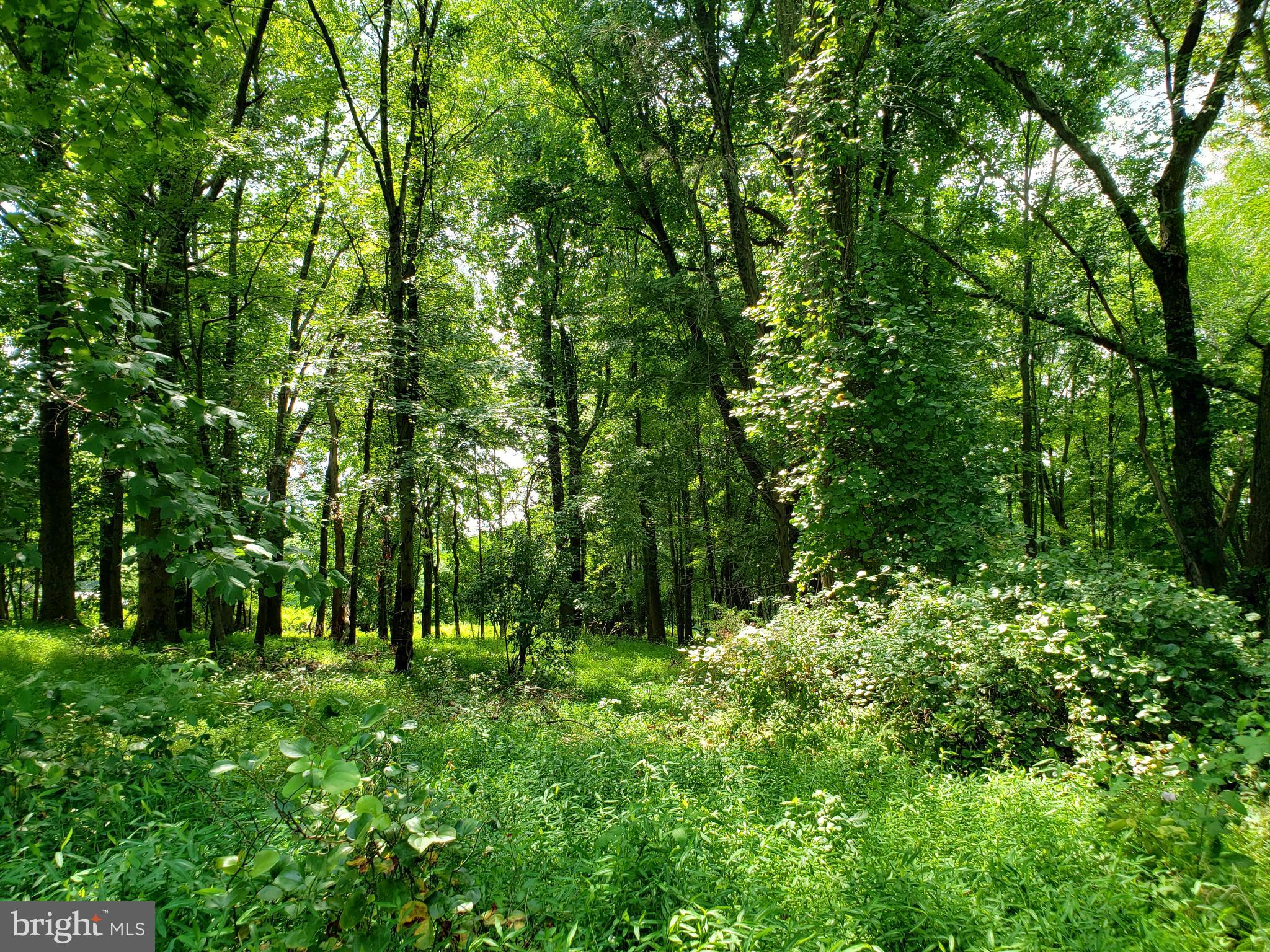 KENTLAND FARMS - Land