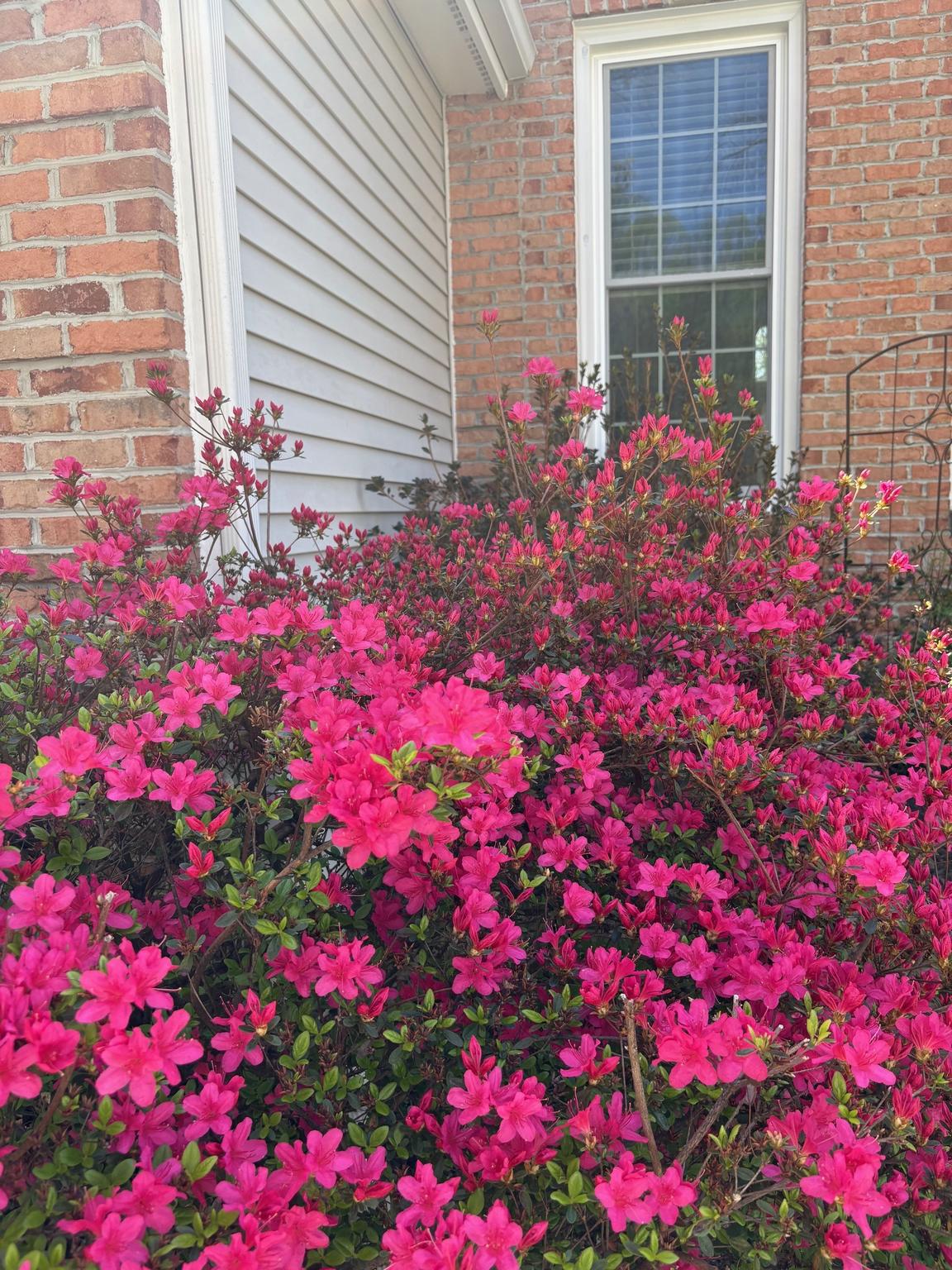 BARRINGTON - Residential