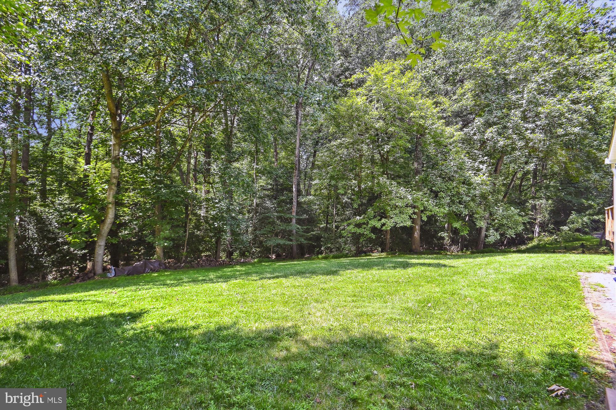 STUART MILL WOOD - Residential