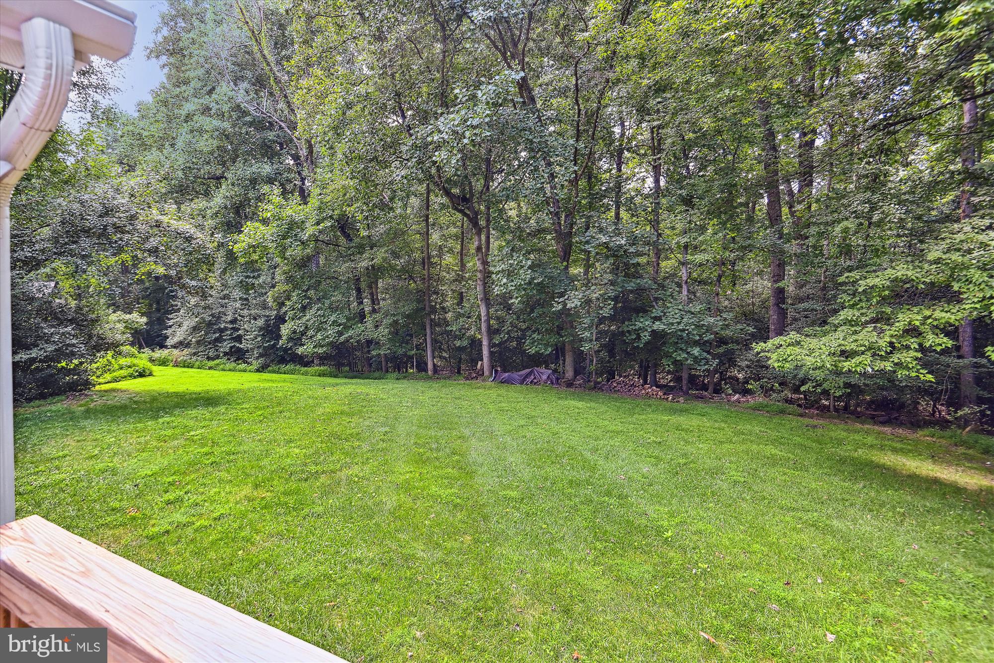 STUART MILL WOOD - Residential