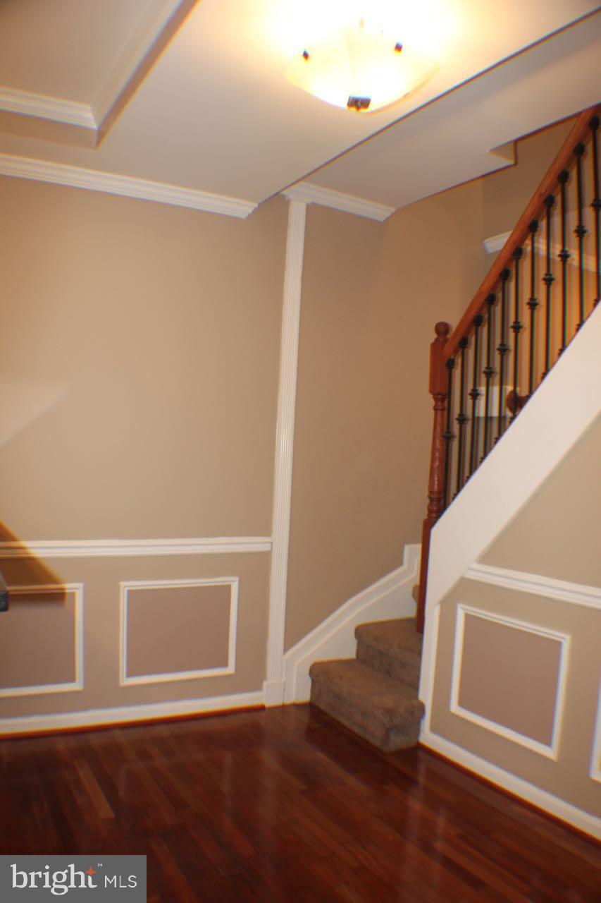 BUTCHER'S HILL - Residential Lease