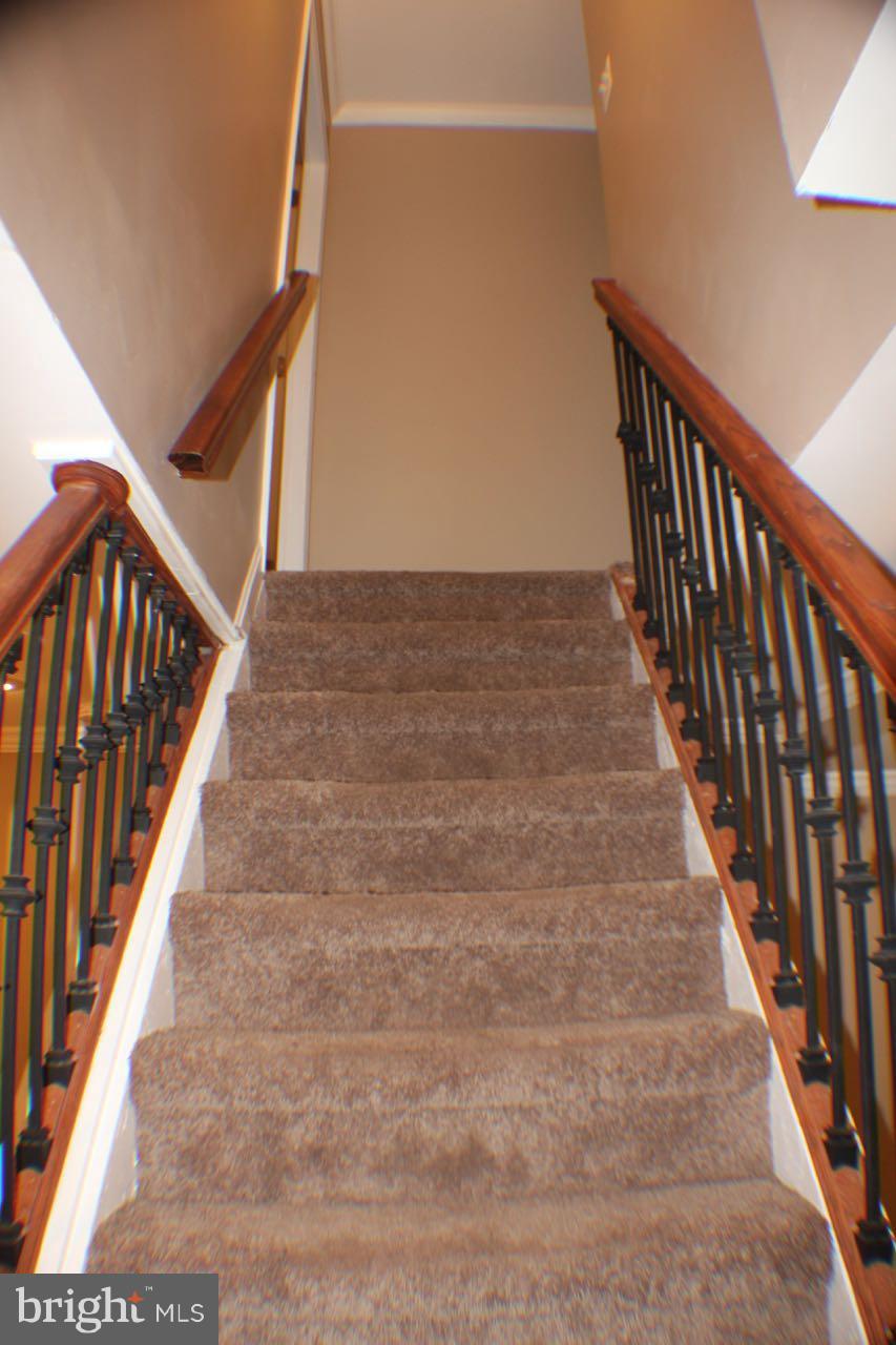 BUTCHER'S HILL - Residential Lease