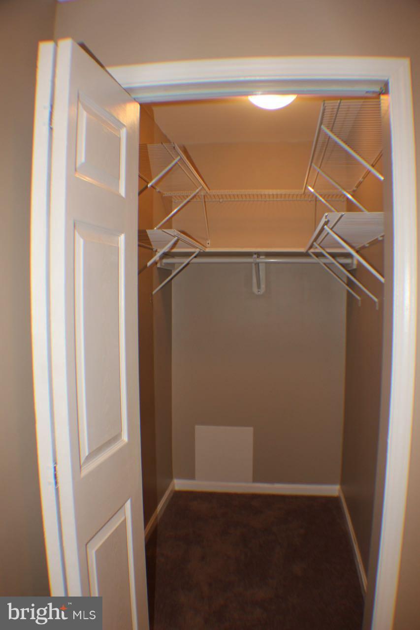 BUTCHER'S HILL - Residential Lease