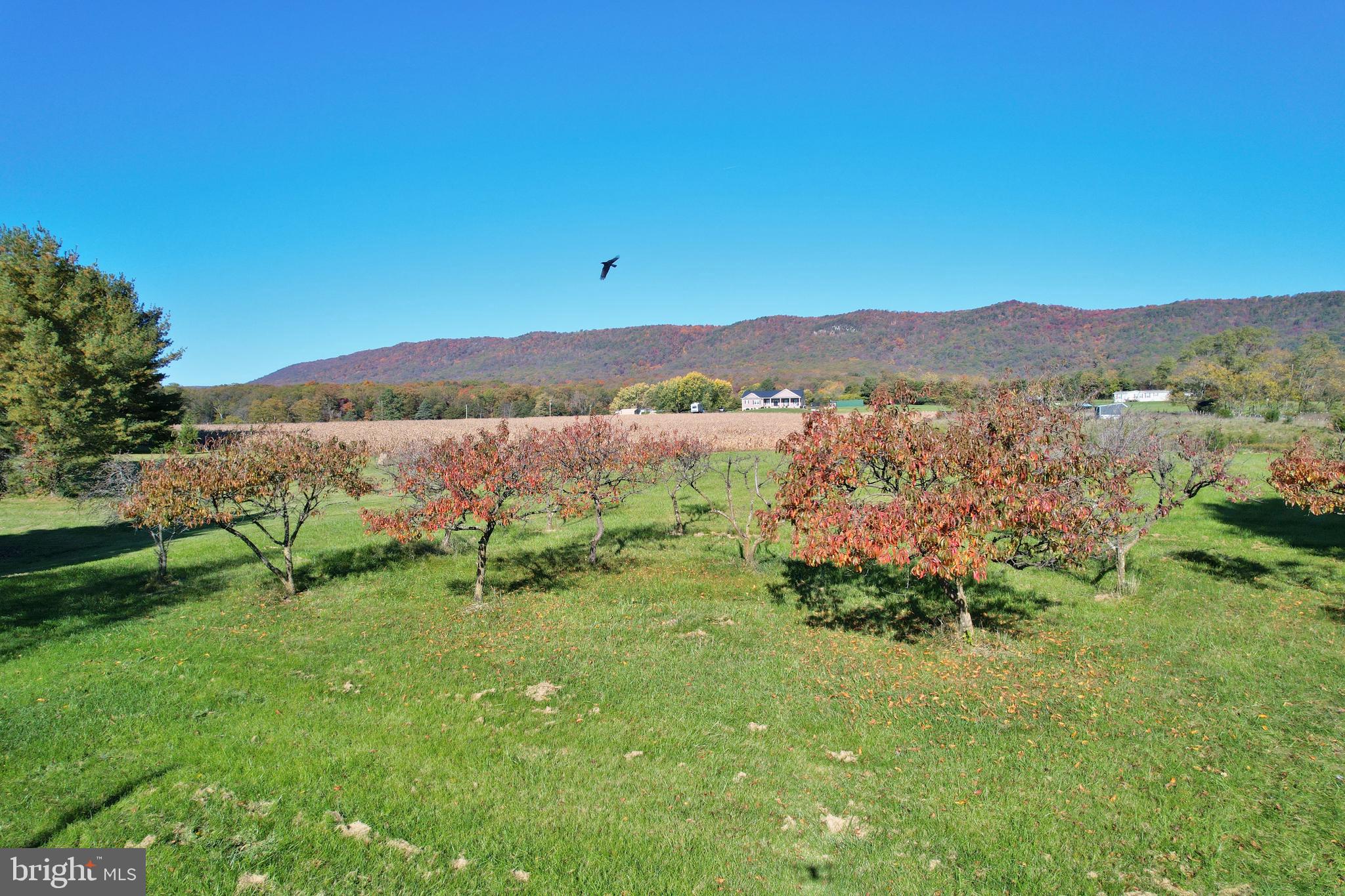 MOUNTAIN VIEW - Residential