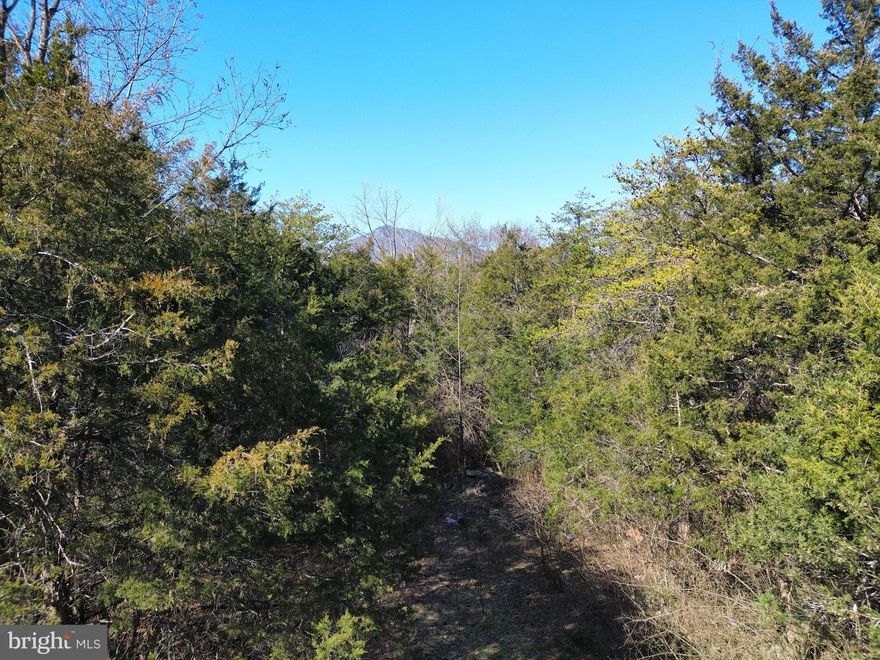 Discover the perfect opportunity to own a 0.65 acre wooded lot in the Land of Luray neighborhood. Nestled in a peaceful setting, this flat parcel offers a blend of privacy and convenience, making it an ideal canvas for your next project. With easy access to nearby amenities and outdoor recreation, this lot is ready for a new owner to bring it to life. Don’t miss out on this fantastic piece of land— visit today!