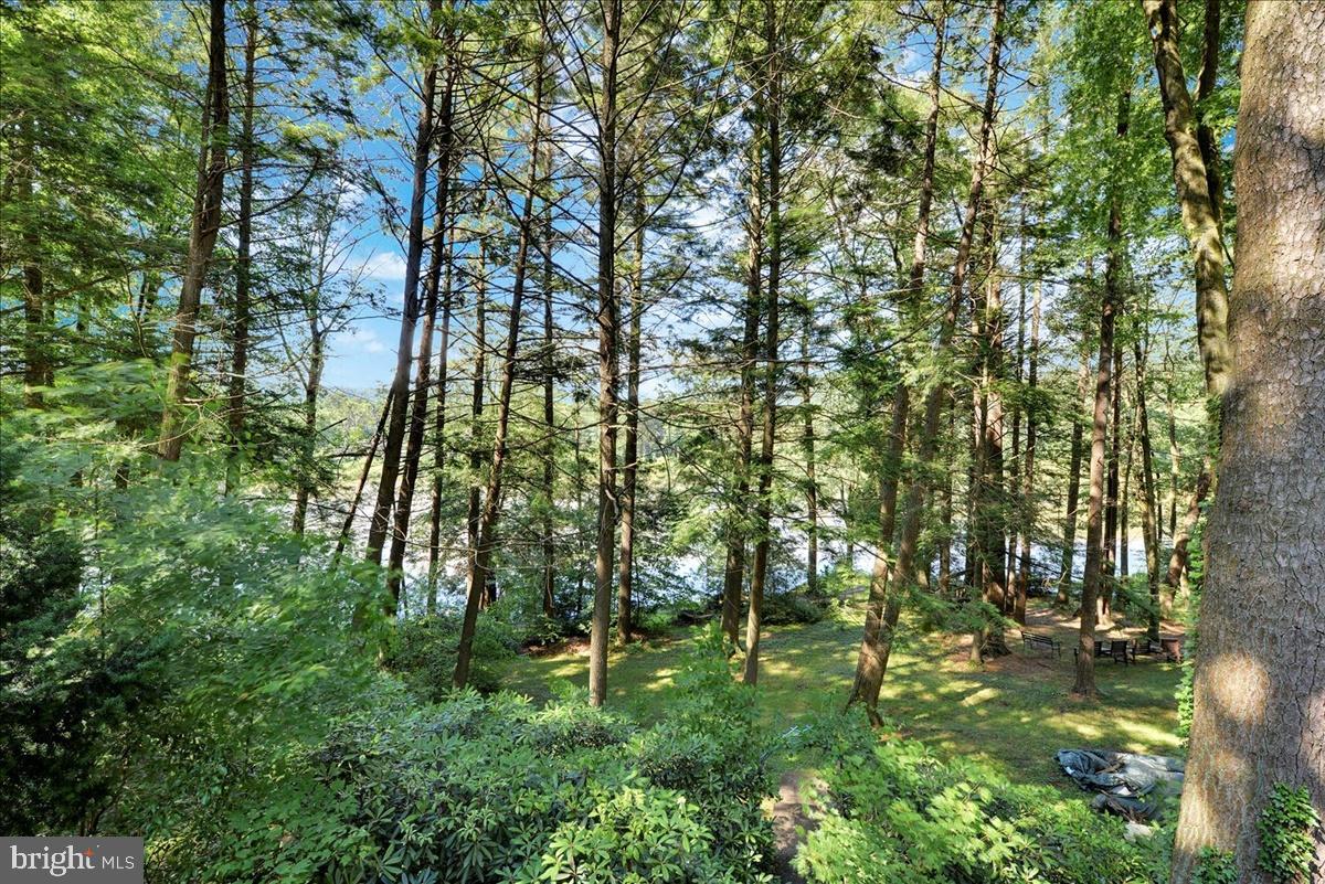 SWEET ARROW LAKE - Residential