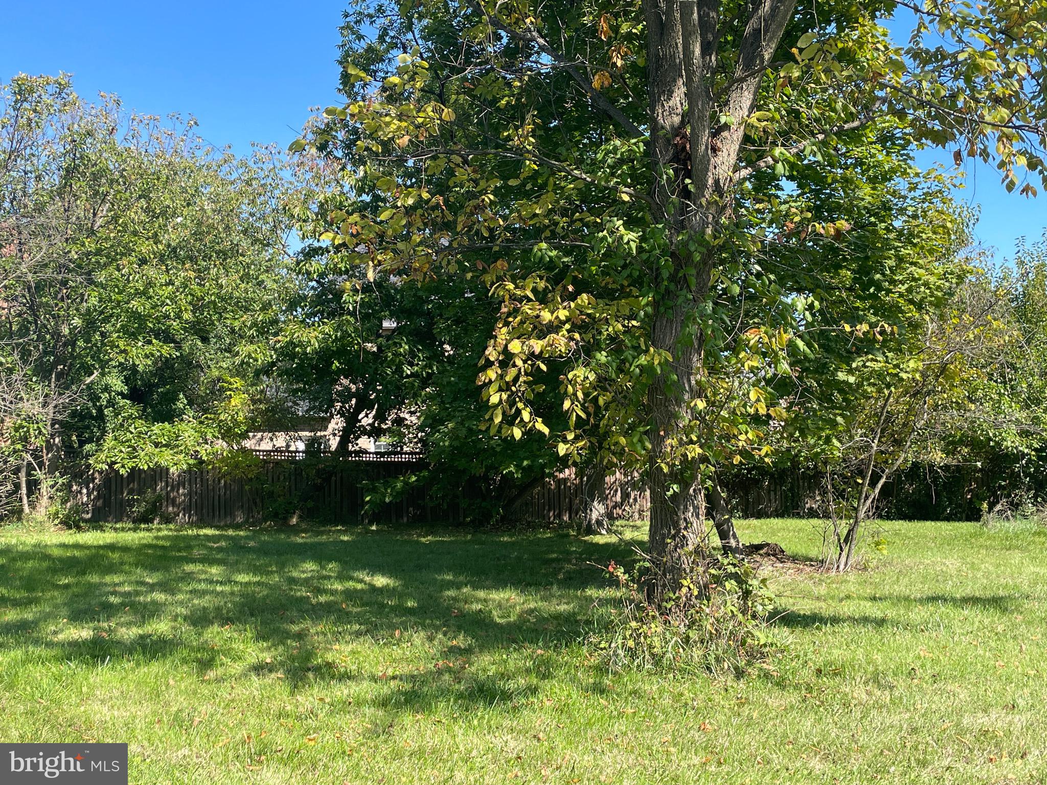 SENSENY ROAD - Residential Lease