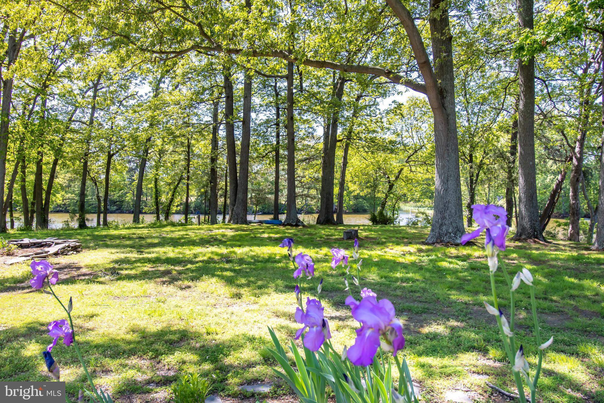 HICKORY RIDGE - Residential