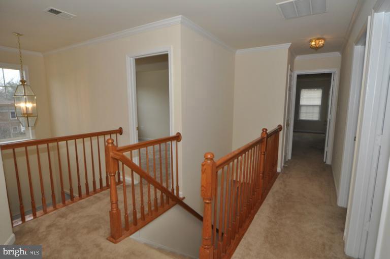 OLD DOMINION VALLEY - Residential