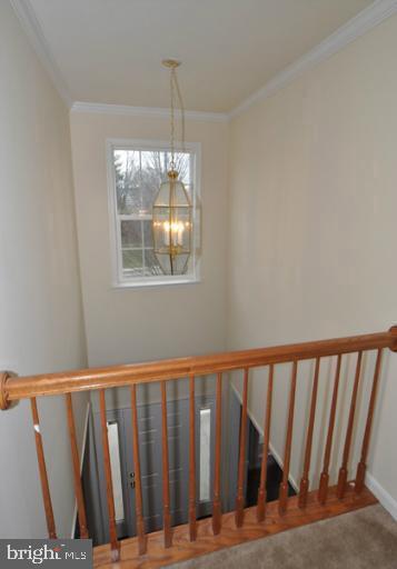 OLD DOMINION VALLEY - Residential