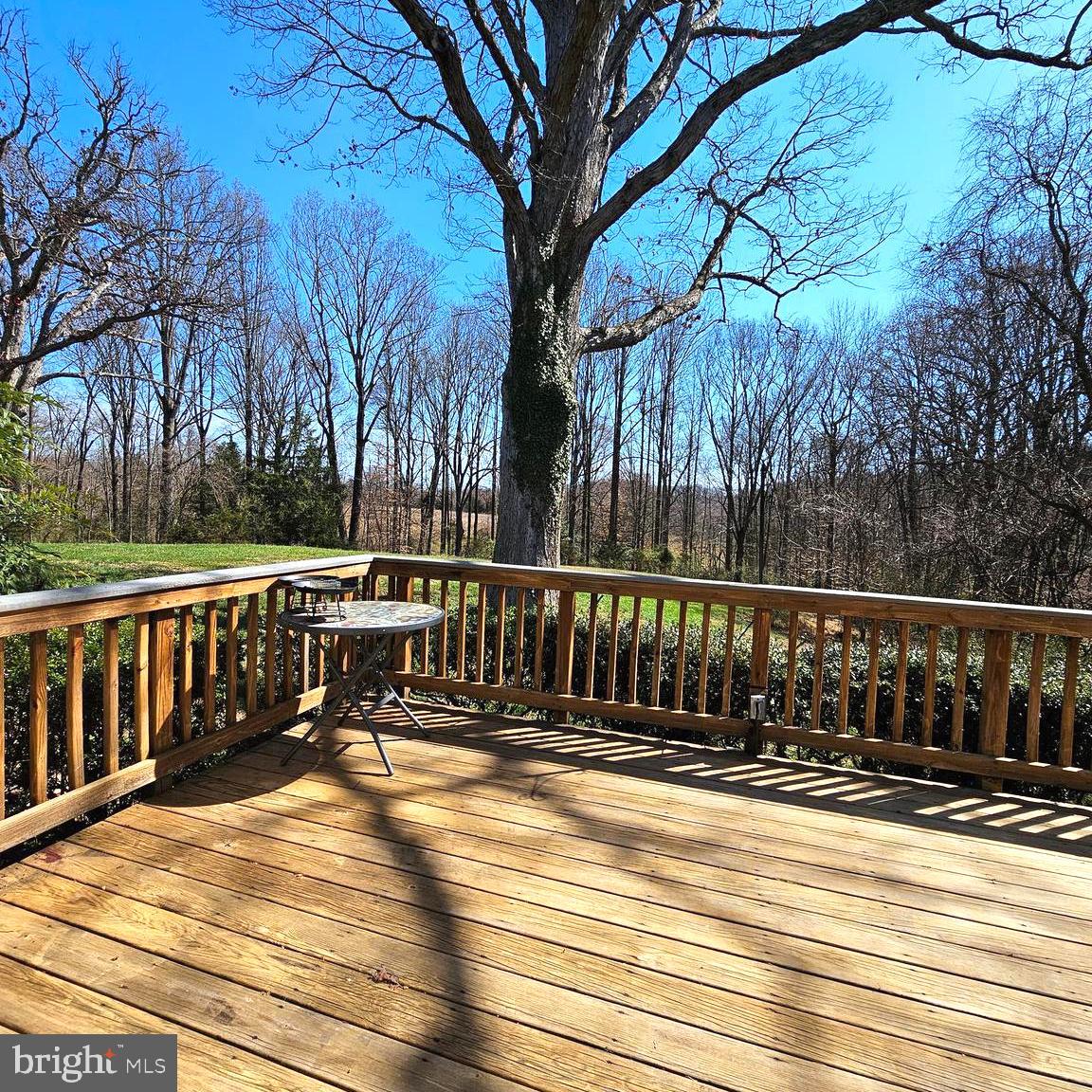 MANASSAS - Residential Lease