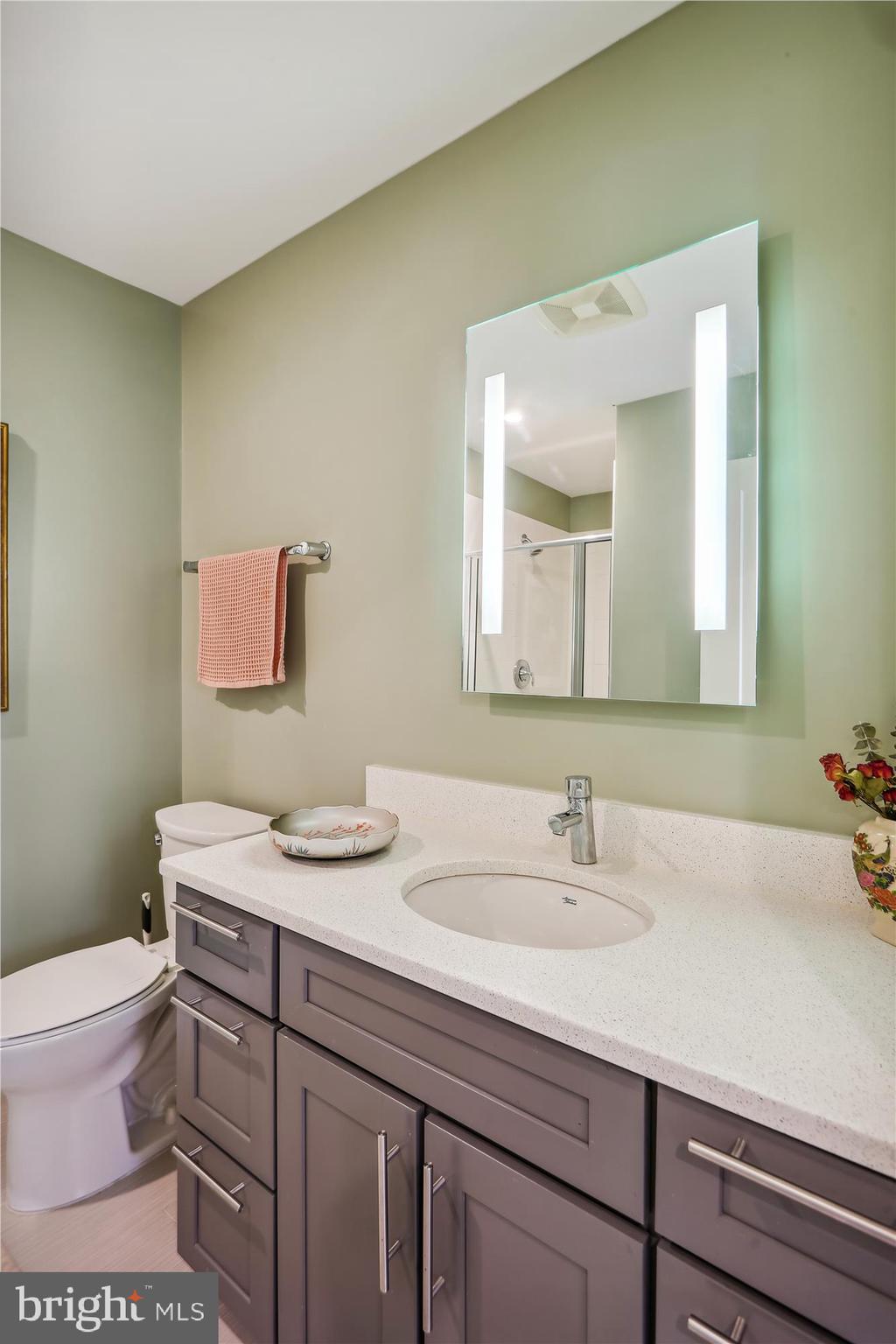 DOWNTOWN SILVER SPRING - Residential