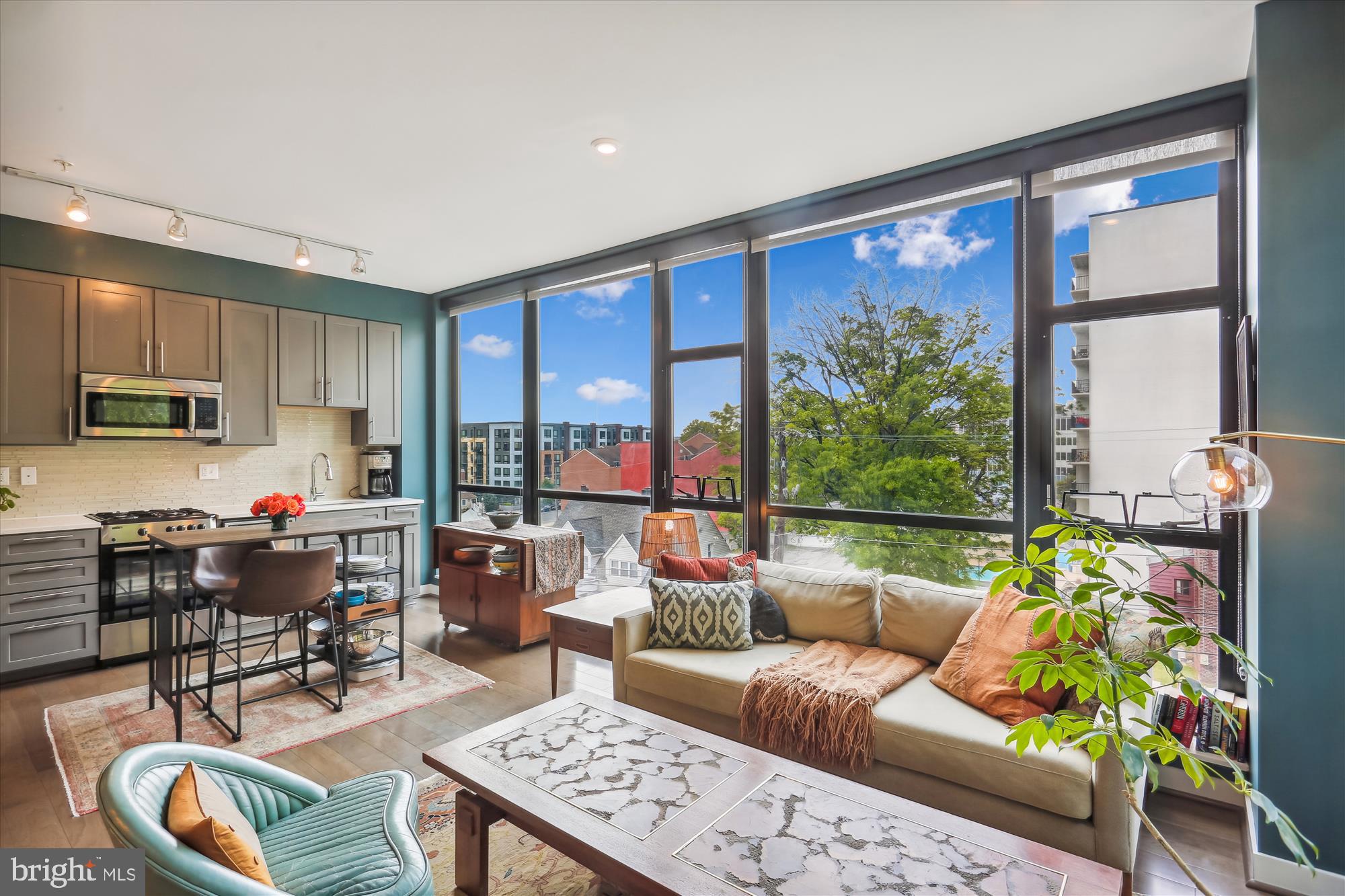 DOWNTOWN SILVER SPRING - Residential