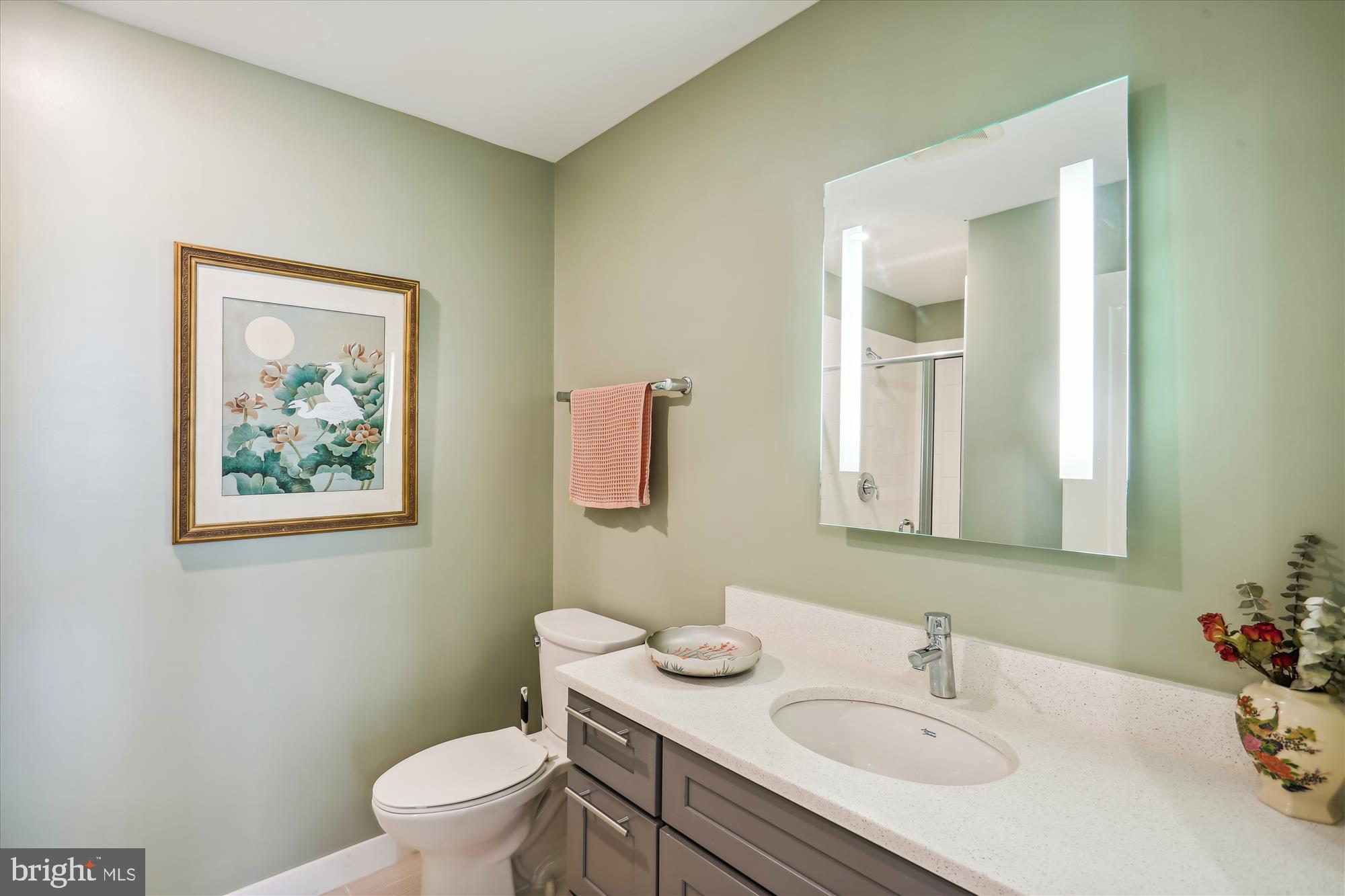 DOWNTOWN SILVER SPRING - Residential