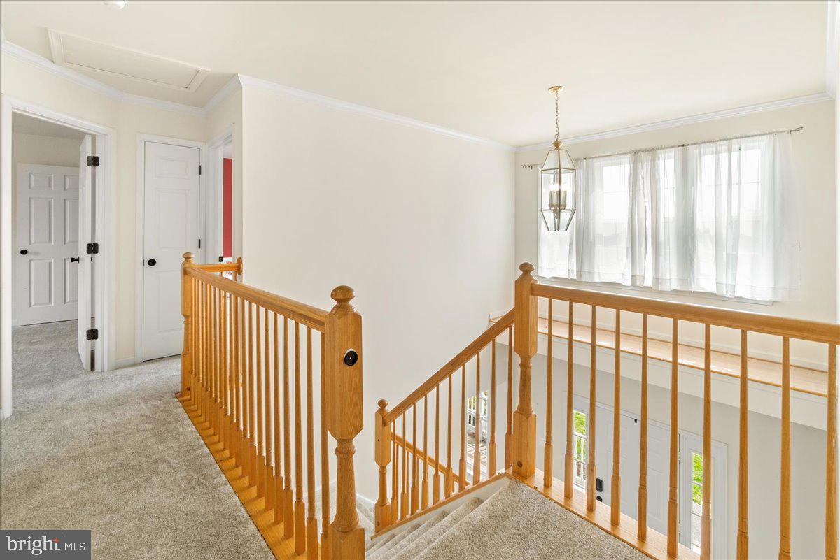 LOCUST HILL - Residential