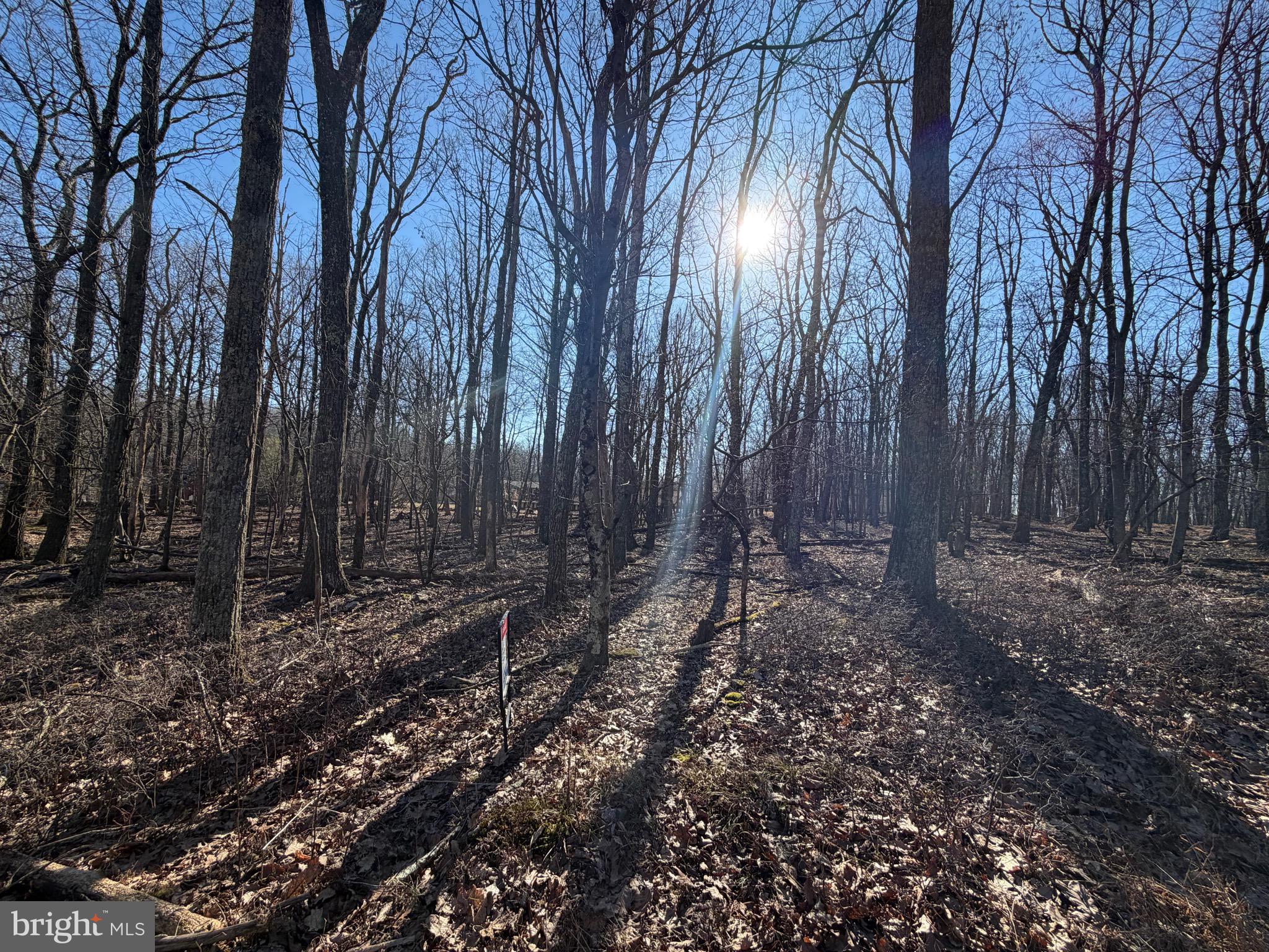 345 WHITE FACE CIRCLE