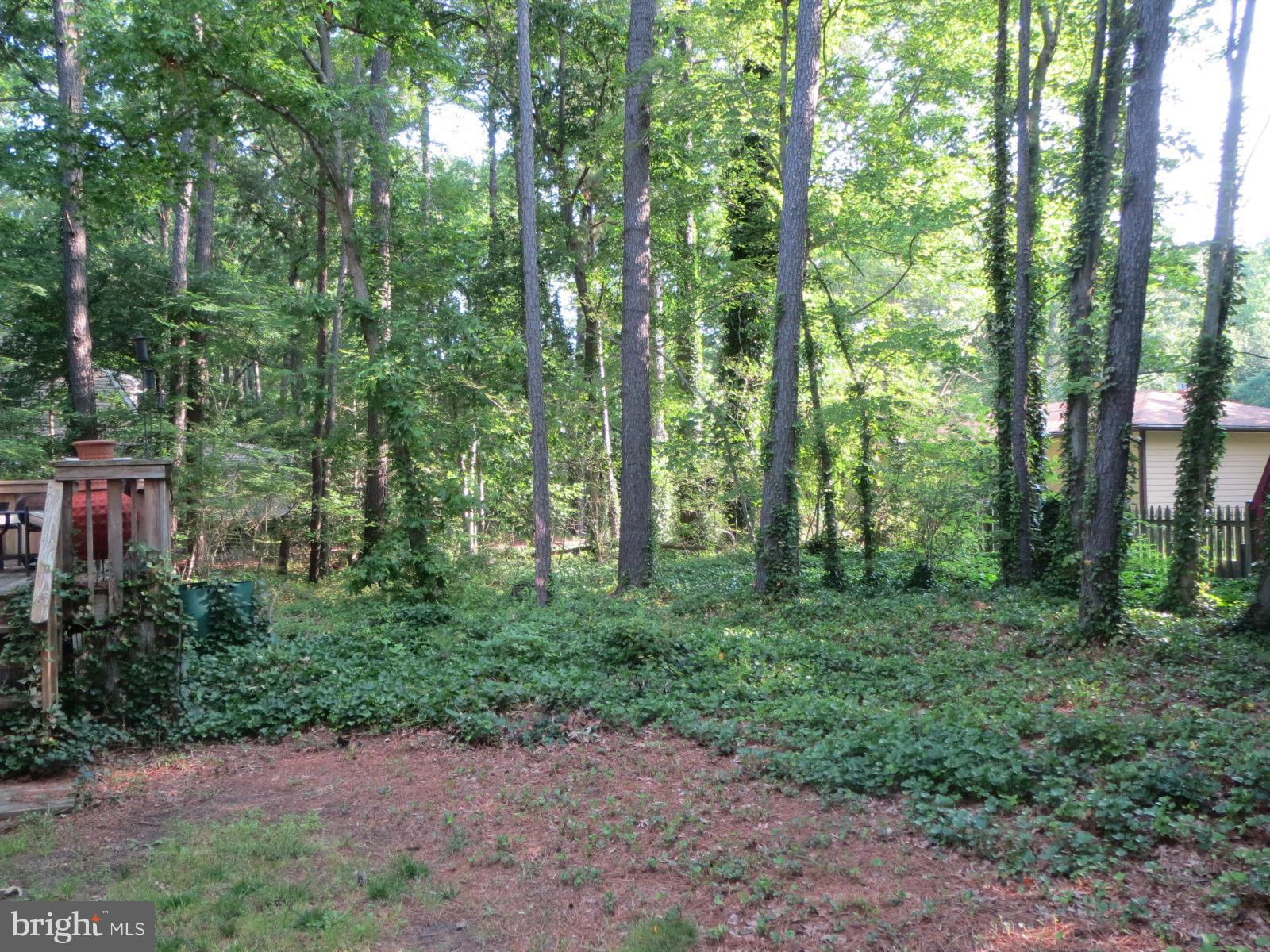 CEDAR COVE - Residential Lease