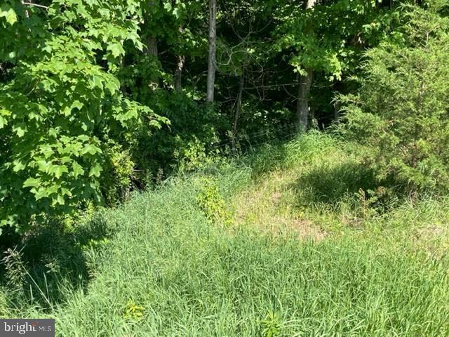 NONE AVAILABLE - Land