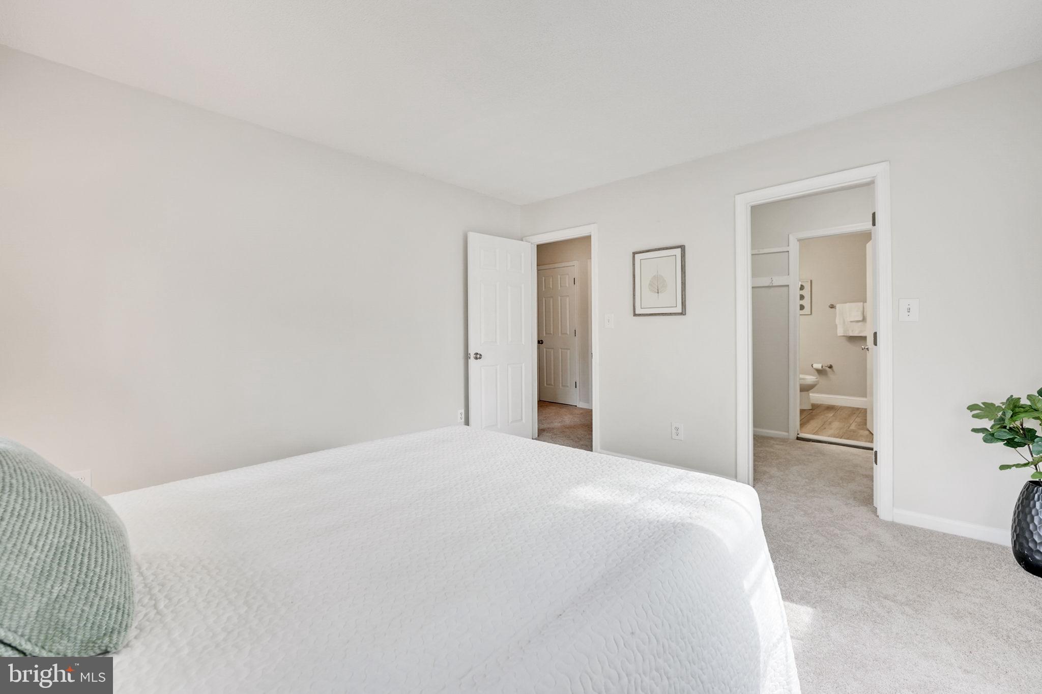 CARDINAL FOREST - Residential