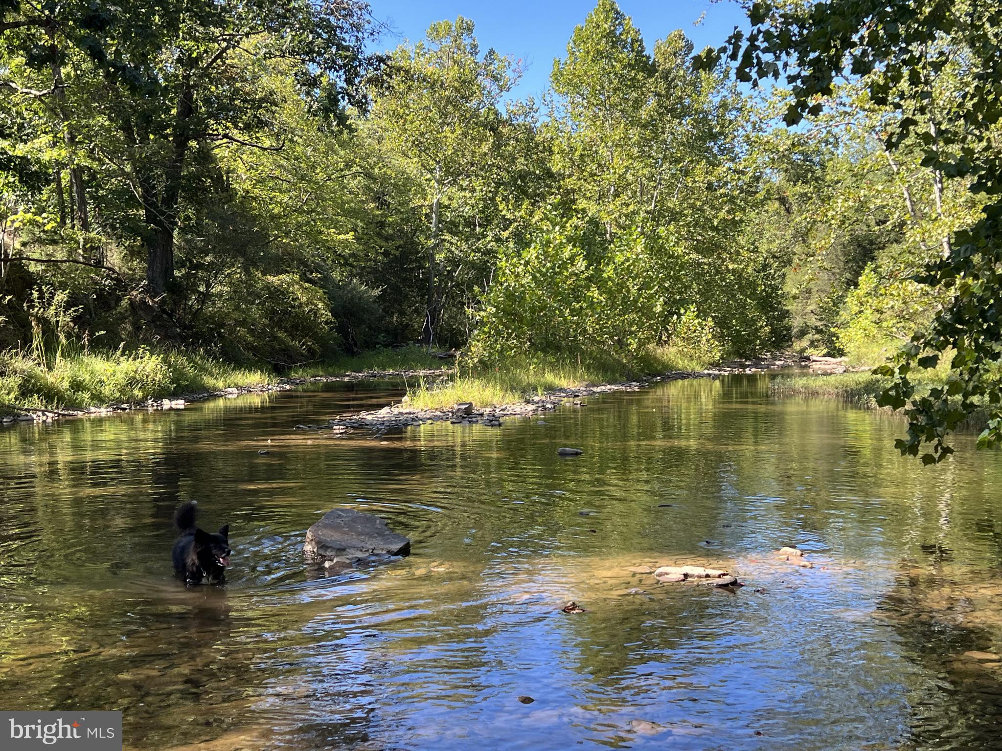 Lot 4 Section 1 LITTLE CACAPON LEVELS RD