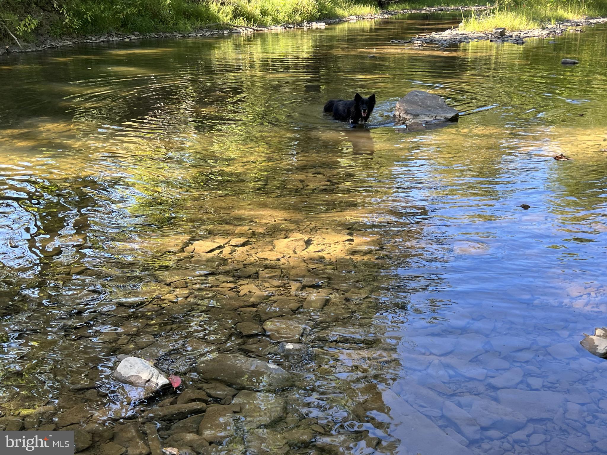 Lot 4 Section 1 LITTLE CACAPON LEVELS RD