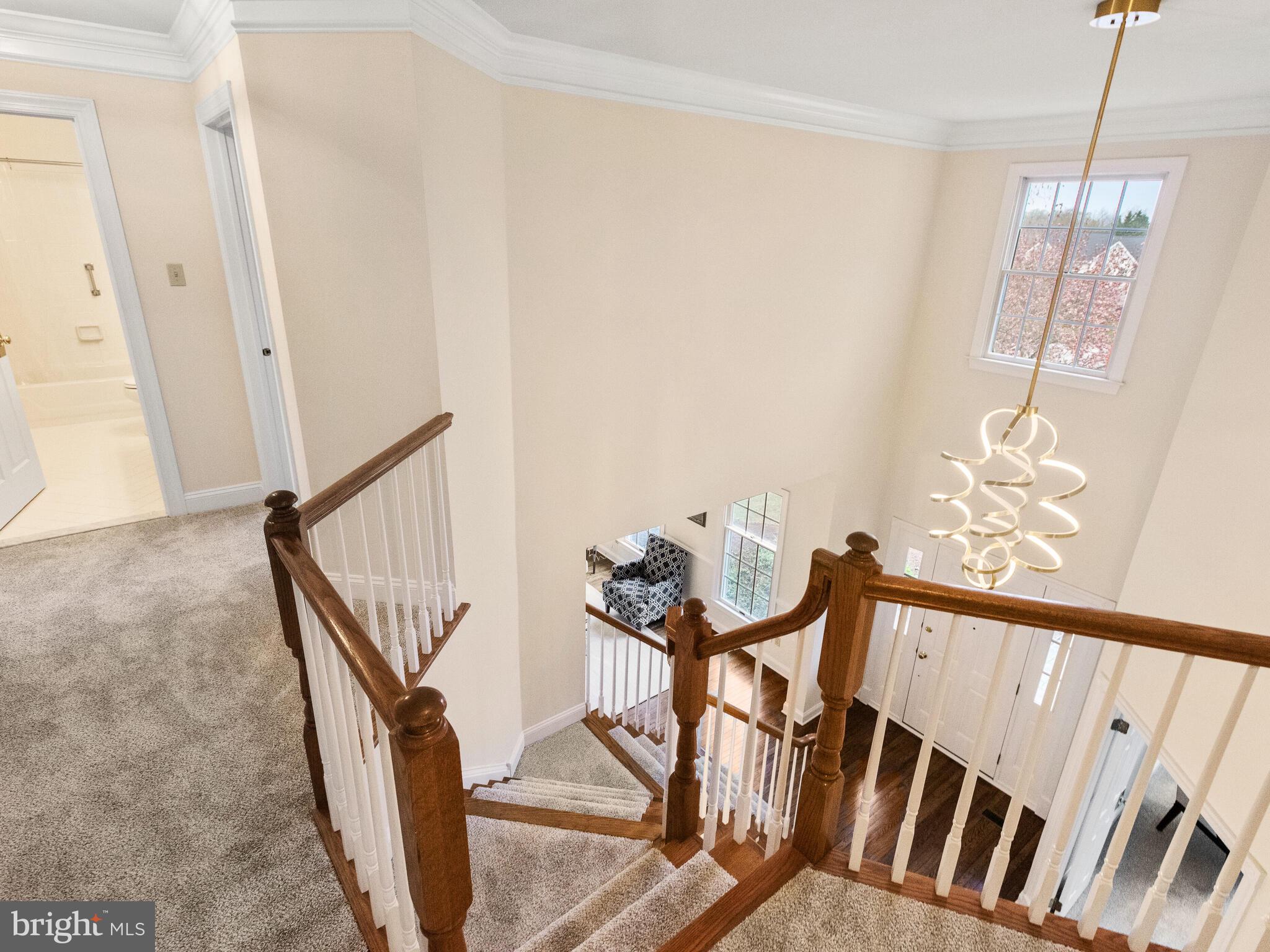 VALLEY FORGE WOODS - Residential