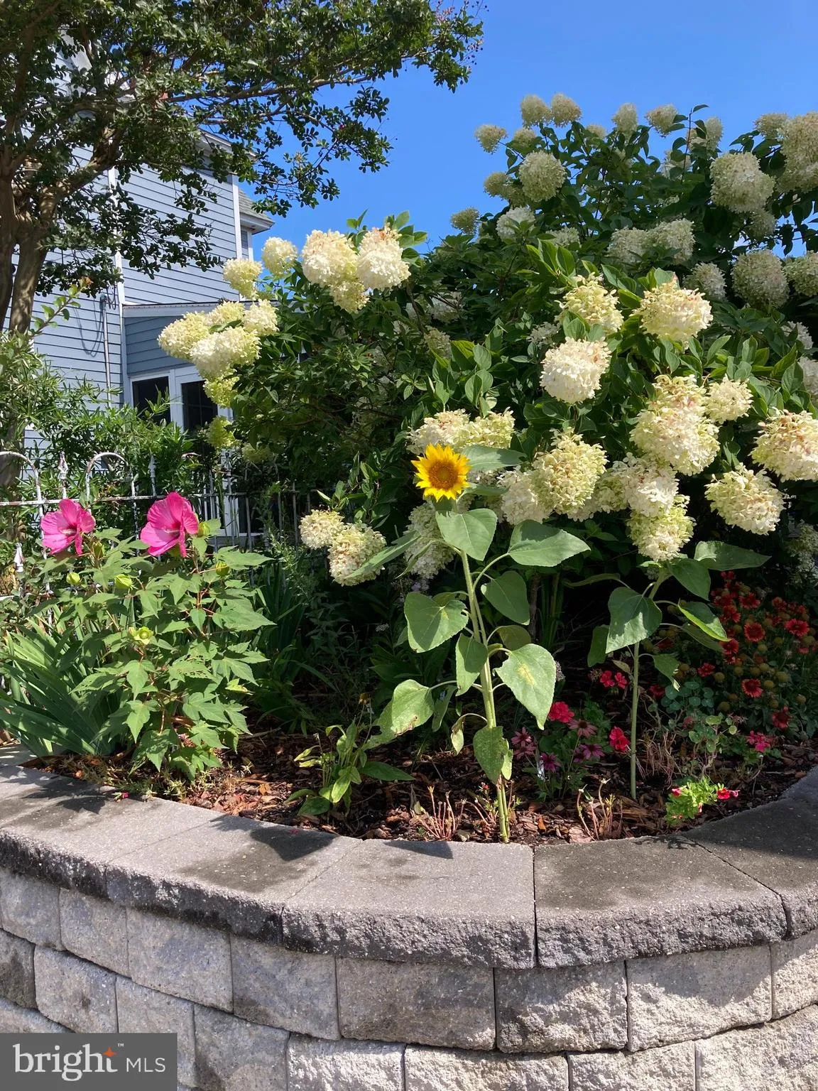 Lewes, Delaware 19958, United States, 4 Bedrooms Bedrooms, ,3 BathroomsBathrooms,Residential,Contingent,81994