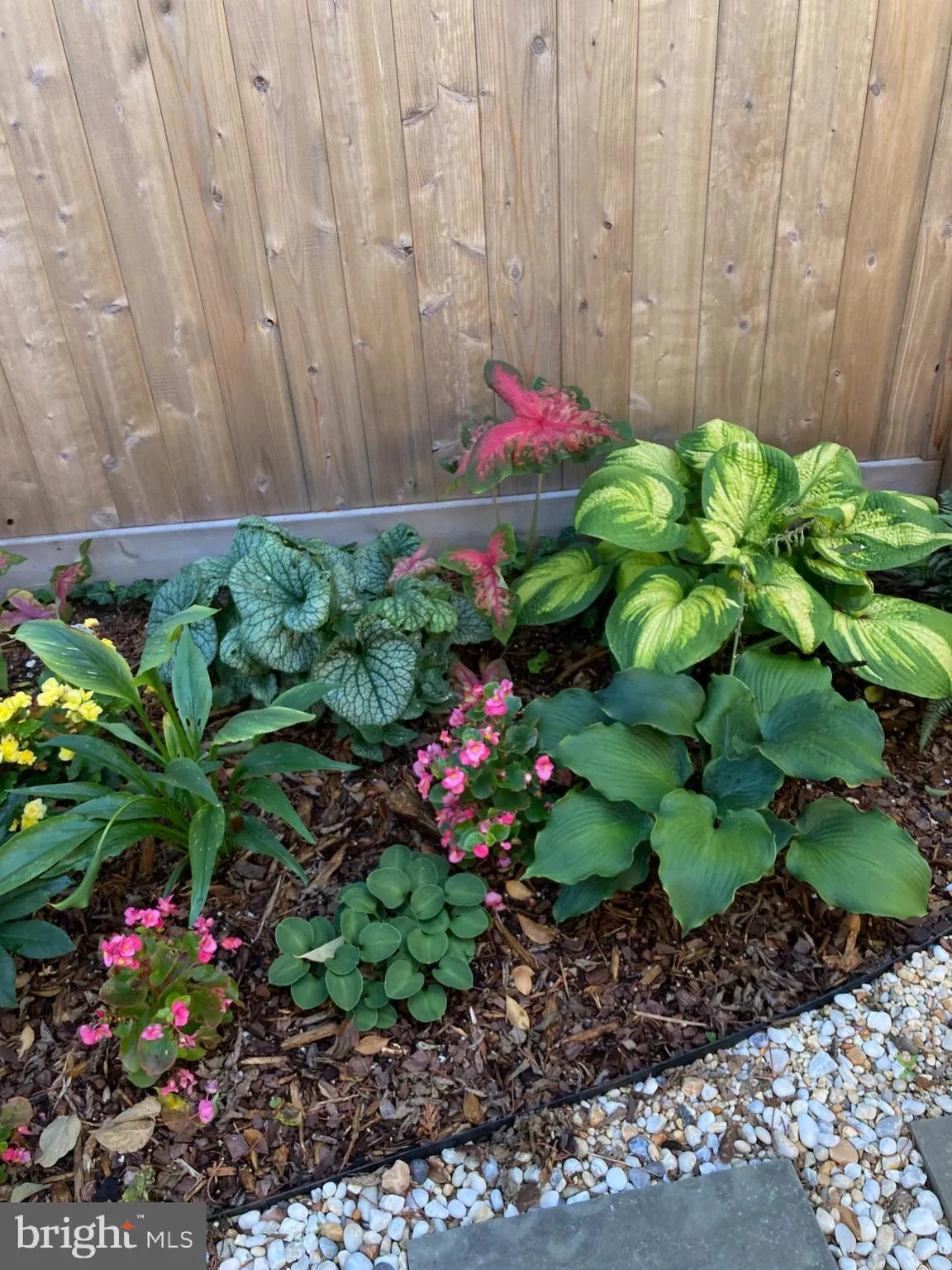 Lewes, Delaware 19958, United States, 4 Bedrooms Bedrooms, ,3 BathroomsBathrooms,Residential,Contingent,81994