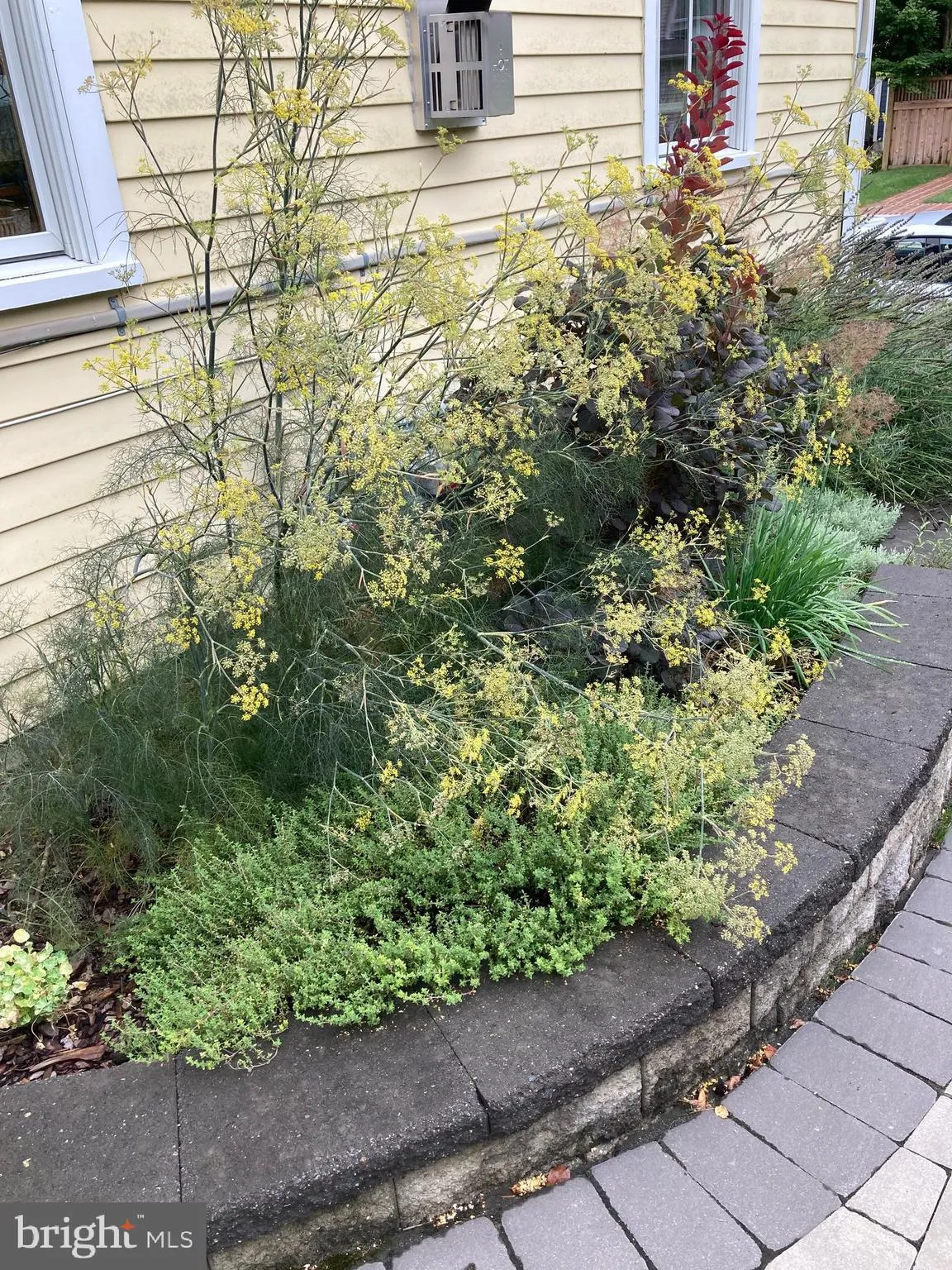 Lewes, Delaware 19958, United States, 4 Bedrooms Bedrooms, ,3 BathroomsBathrooms,Residential,Contingent,81994