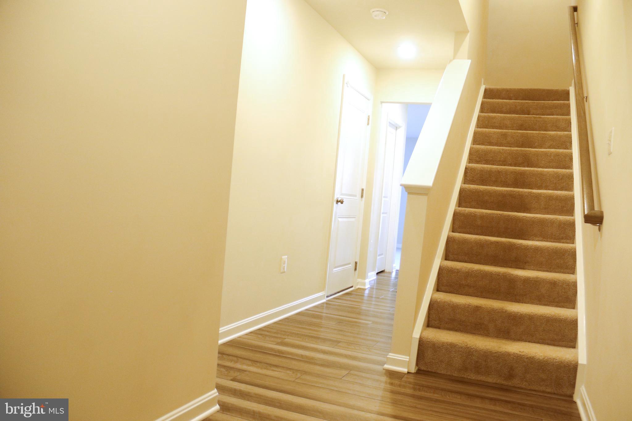 NORBORNE GLEBE - Residential