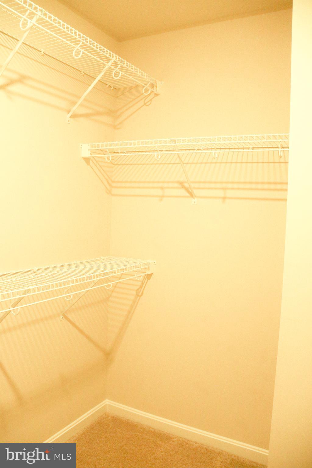 NORBORNE GLEBE - Residential