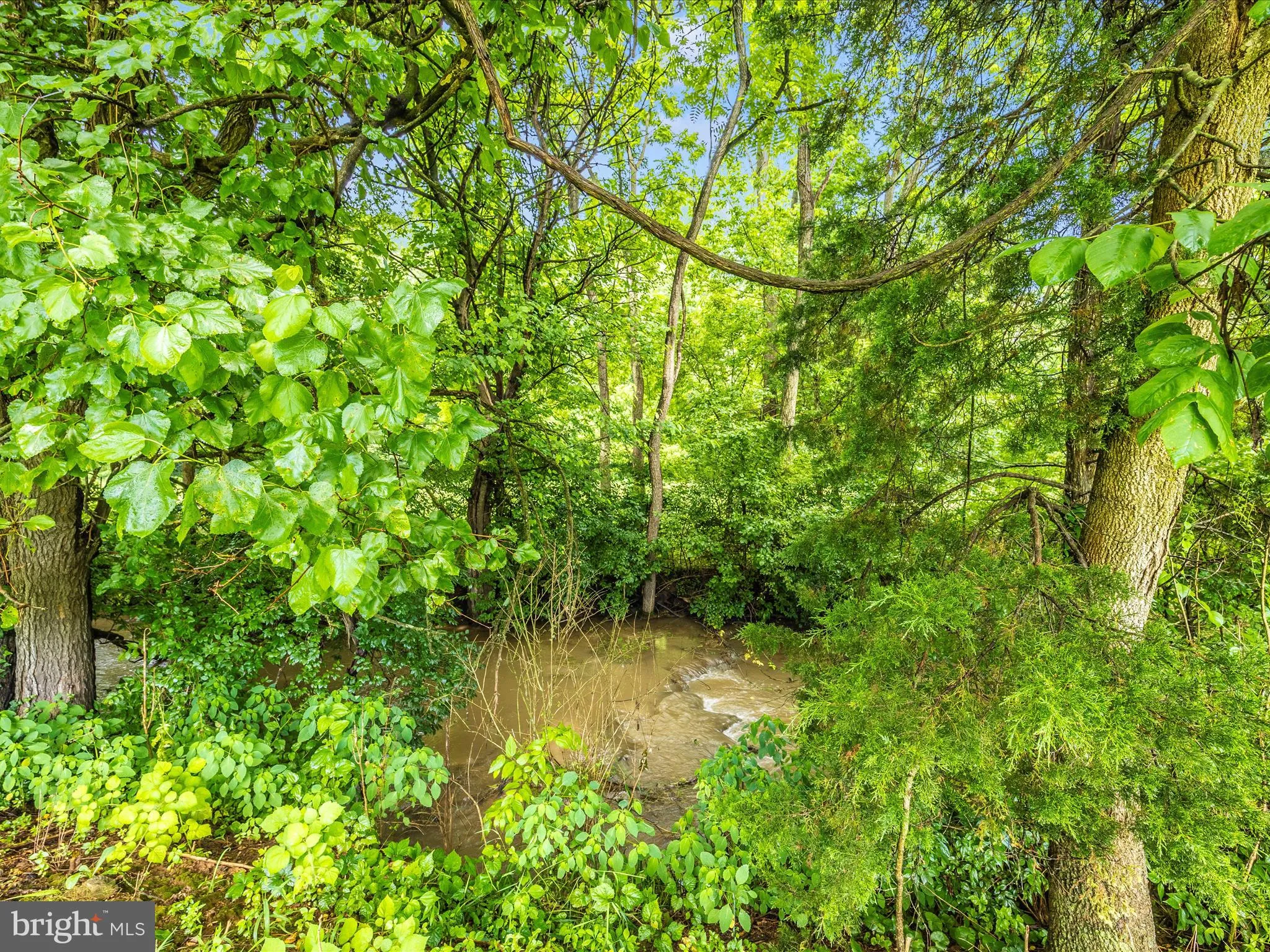 Hagerstown, Maryland 21740, United States, 4 Bedrooms Bedrooms, ,5 BathroomsBathrooms,Residential,Coming Soon,165330