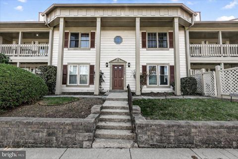 20667 SHADYSIDE WAY 8-124 GERMANTOWN MD 20874