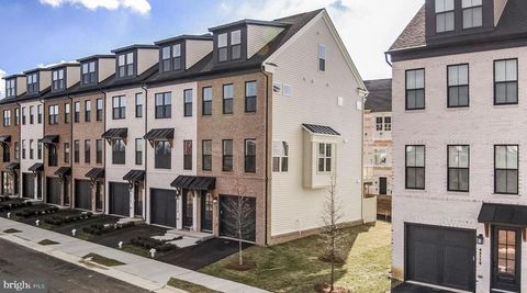 42117 HAZEL GROVE TR BRAMBLETON VA 20148