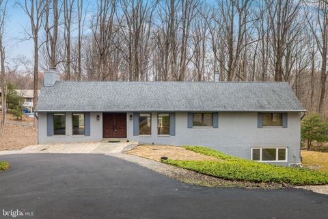 247 SPRINGVALE ROAD GREAT FALLS VA 22066