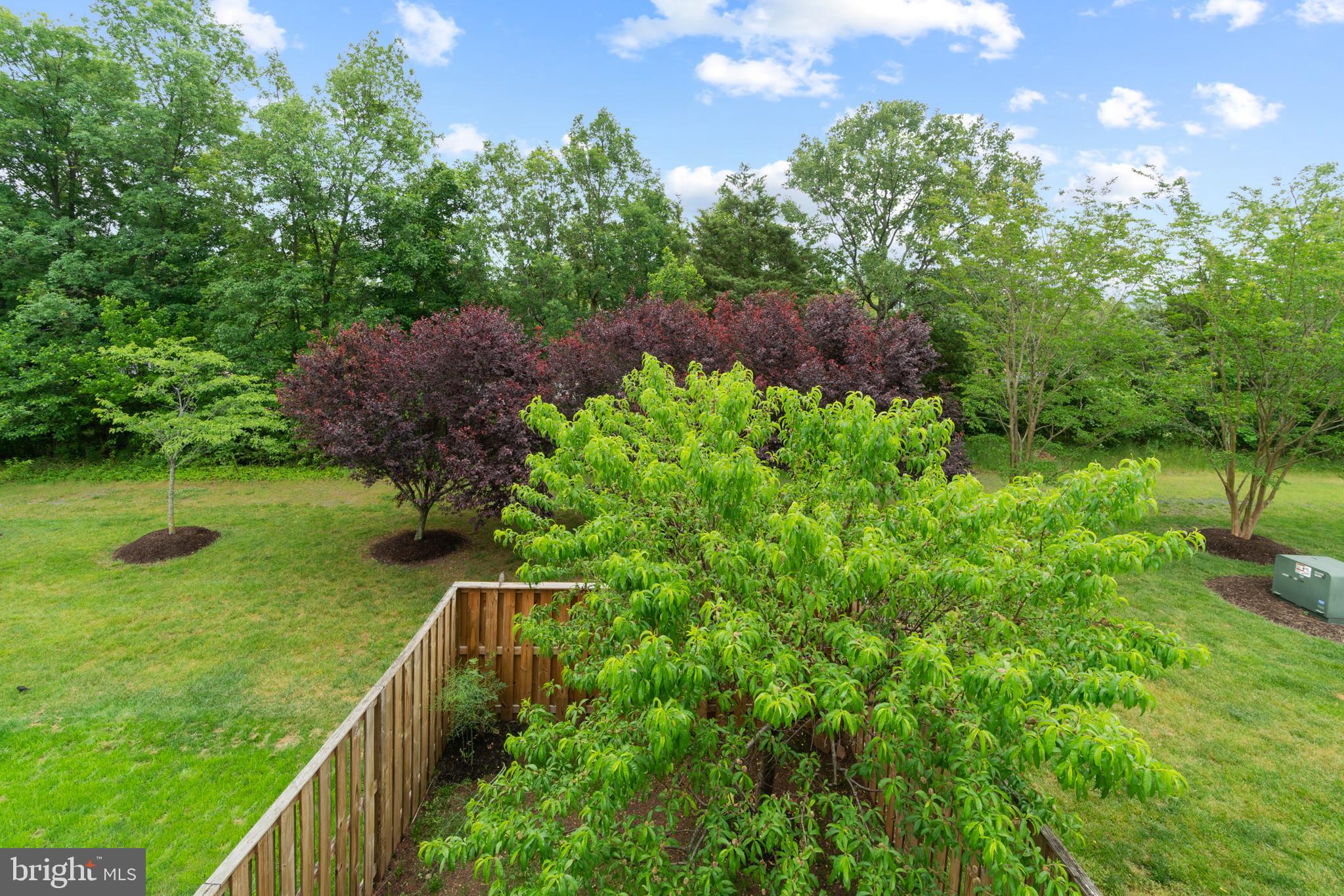 BELMONT COUNTRY CLUB - Residential Lease