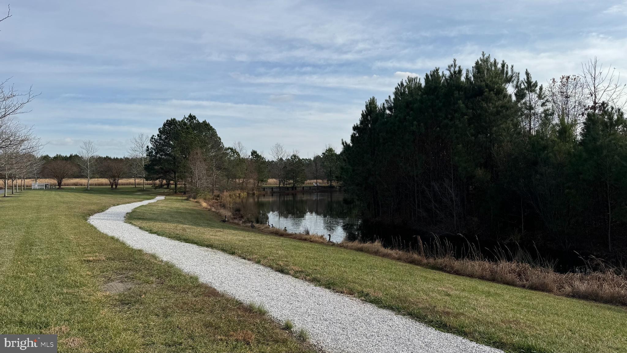 EASTON VILLAGE - Residential