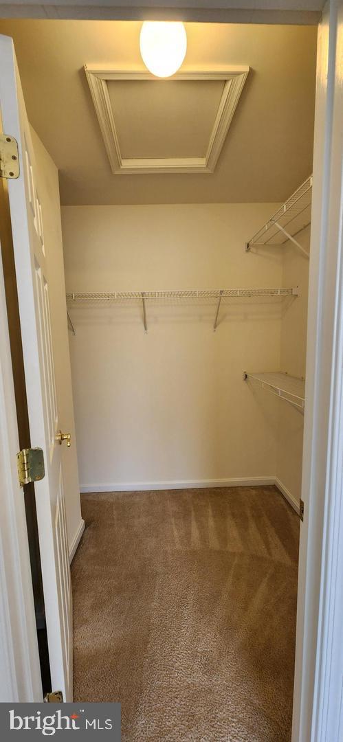 RYAN PARK - Residential Lease