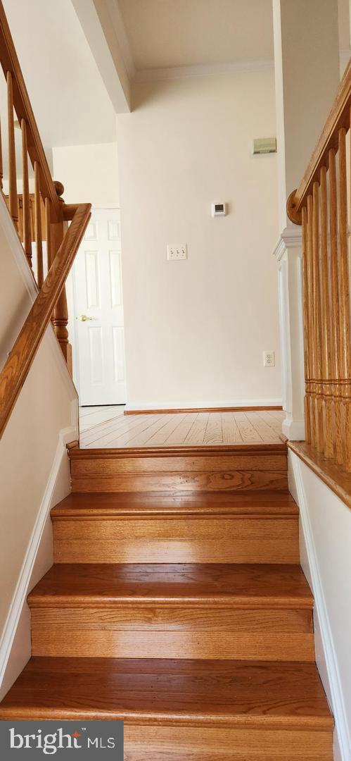 RYAN PARK - Residential Lease