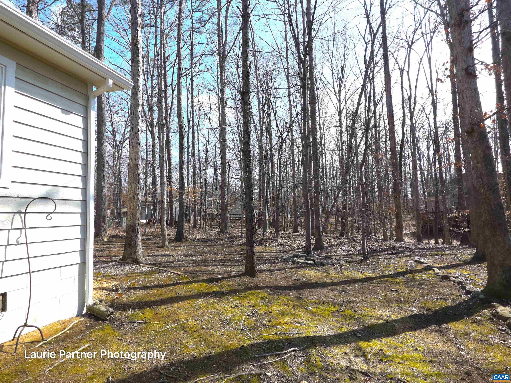 LAKE MONTICELLO - Residential