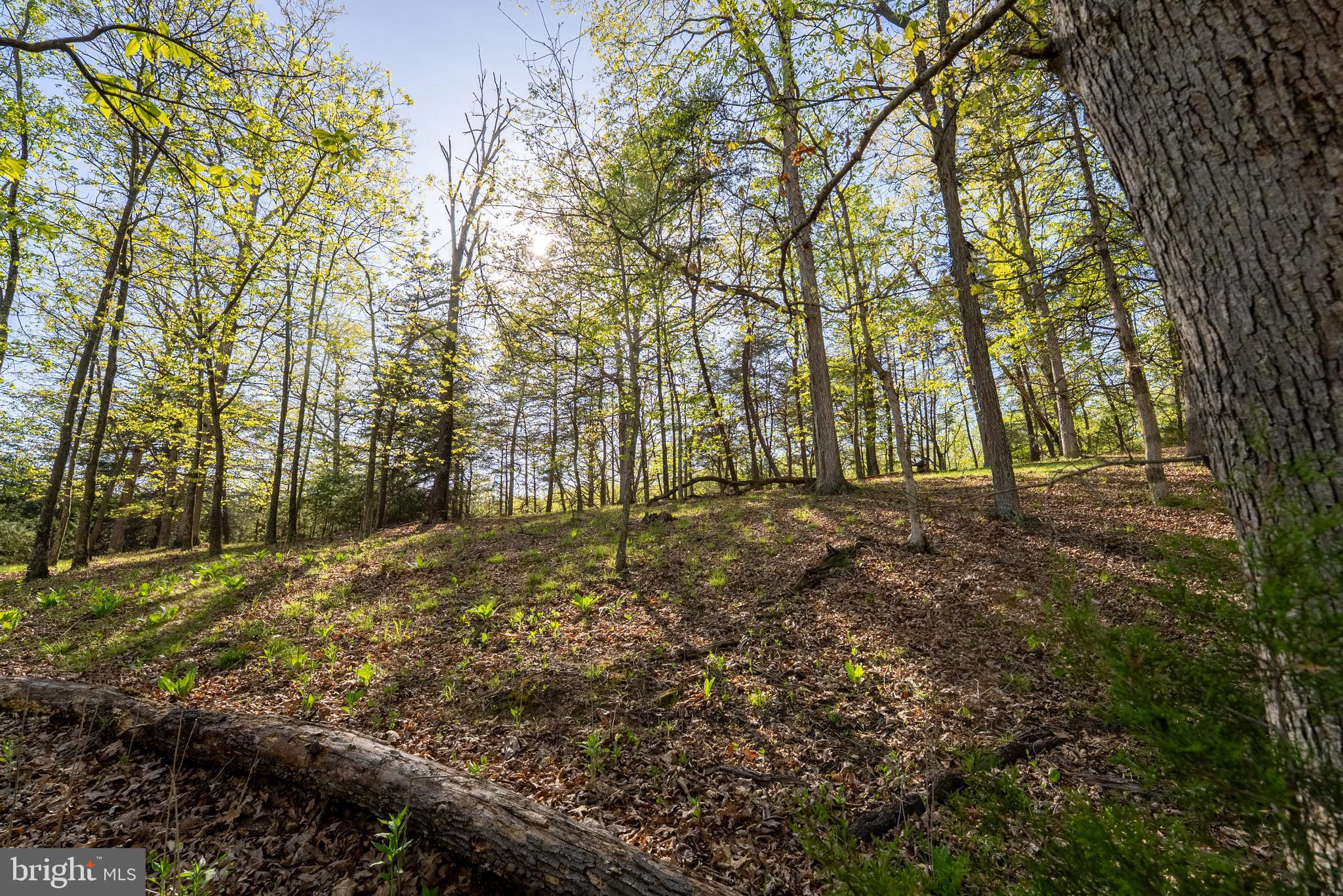 CRYSTAL VALLEY RANCHETTES - Farm