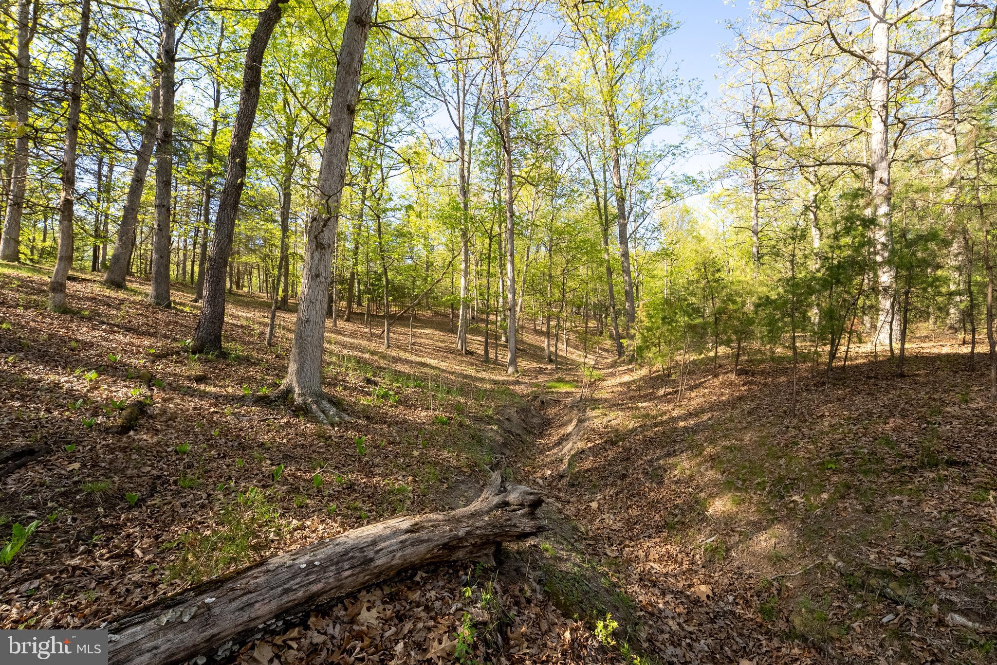 CRYSTAL VALLEY RANCHETTES - Farm