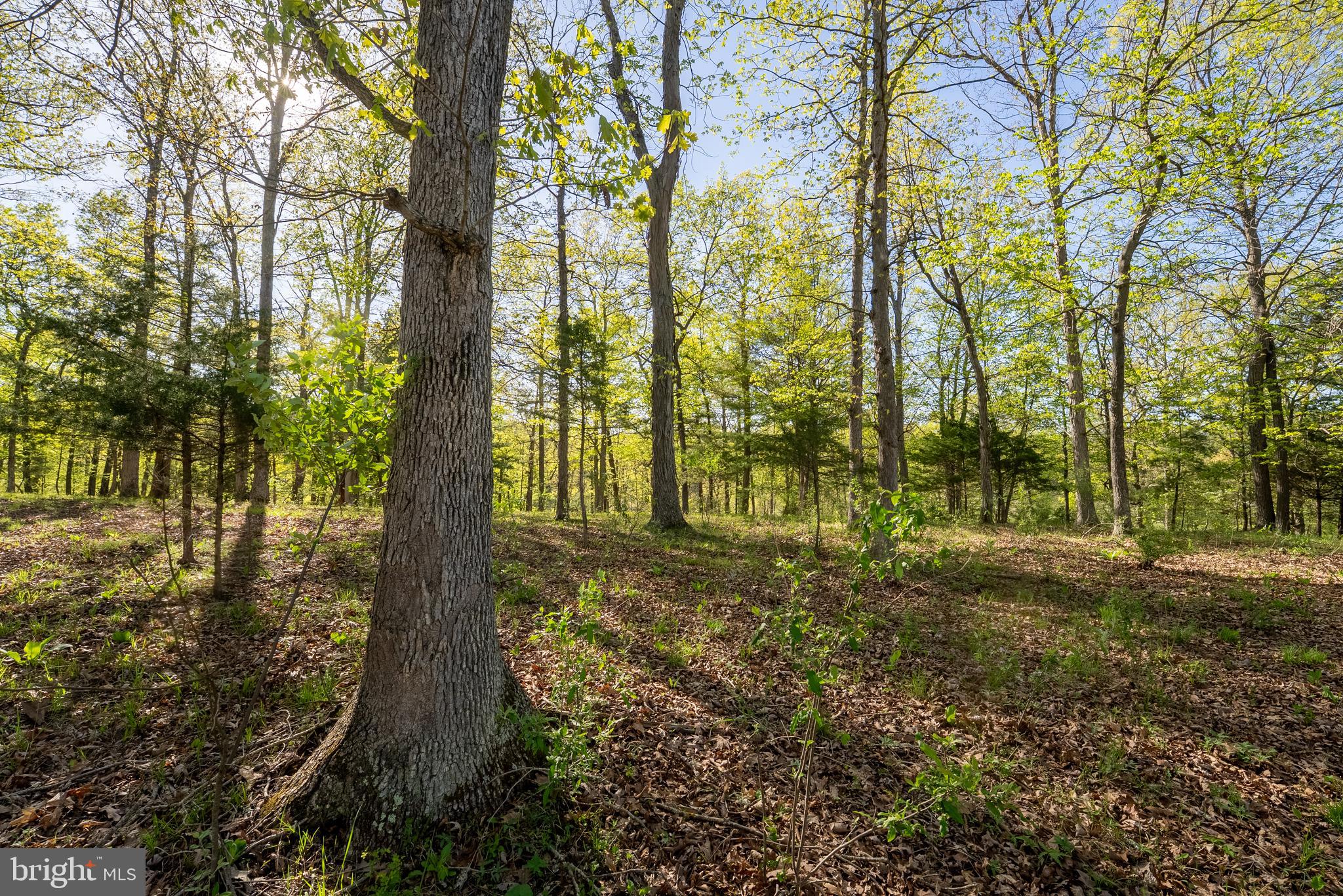 CRYSTAL VALLEY RANCHETTES - Farm
