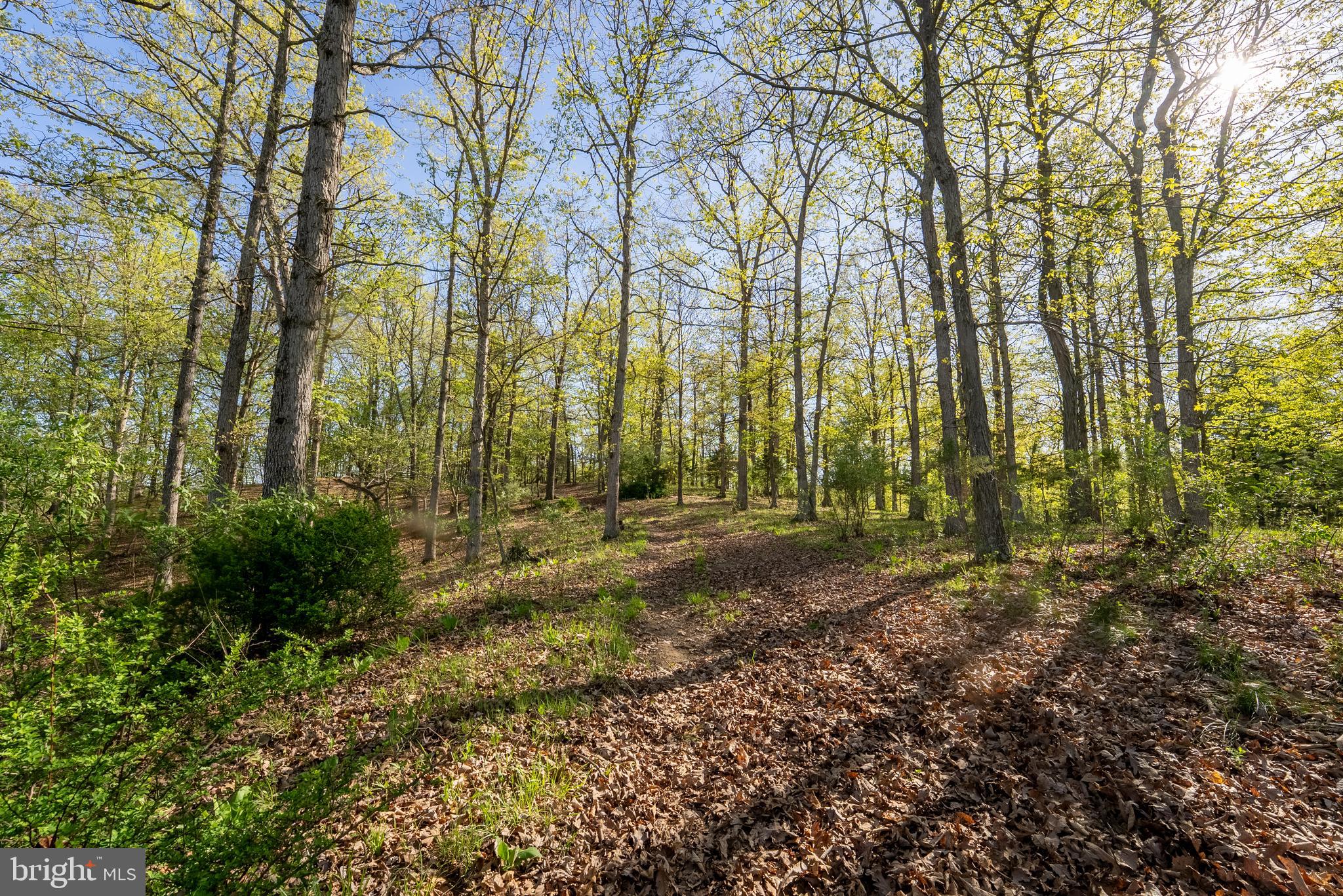 CRYSTAL VALLEY RANCHETTES - Farm