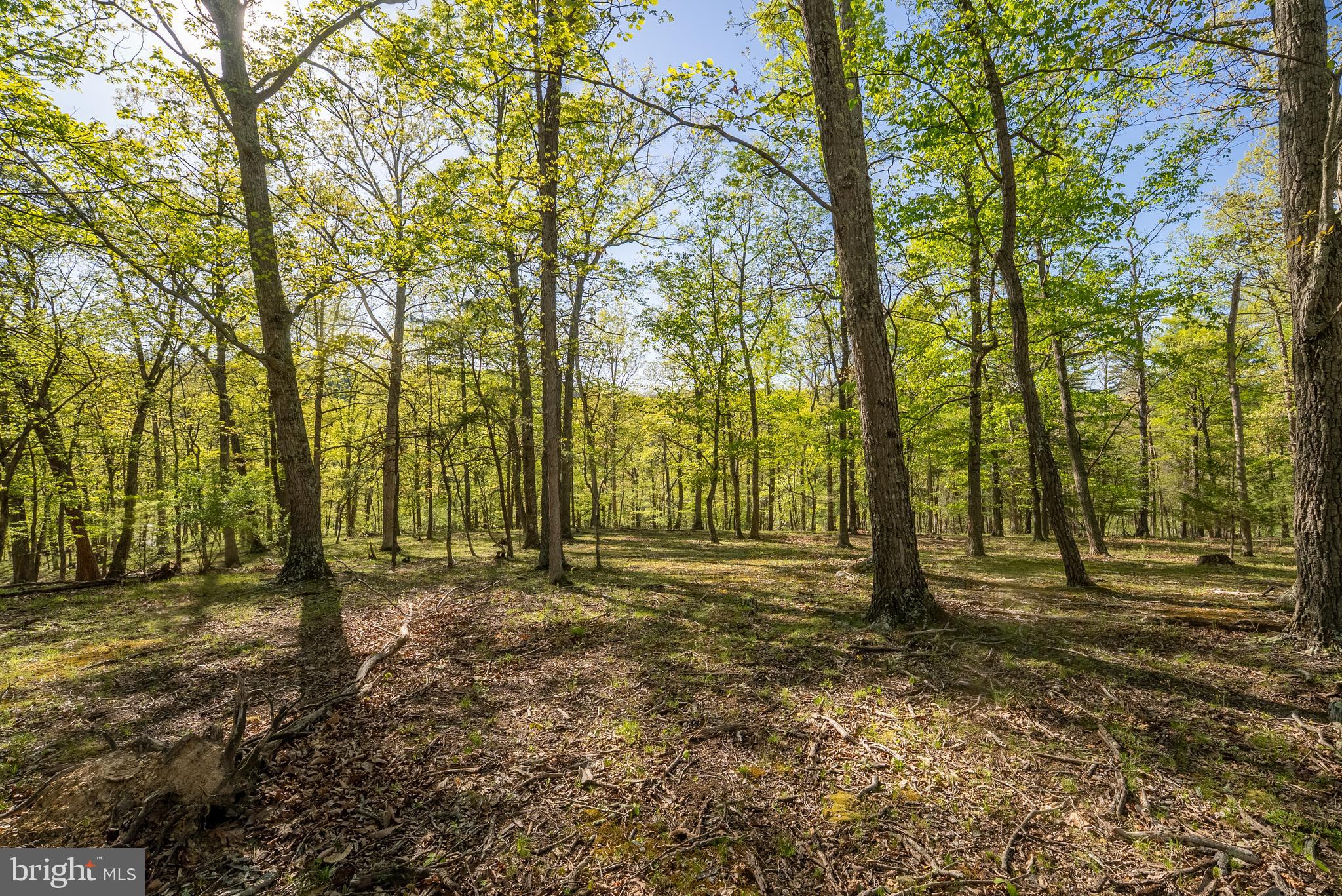 CRYSTAL VALLEY RANCHETTES - Farm