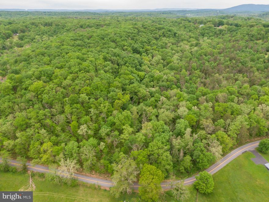This is the secluded homesite to build on that you've been searching for!  This 72 acres of unrestricted raw land on a rise, with views of surrounding mountains and 2 streams running through is a RARE find!  The 72 acre hillside, with stream in the low area, sits on a 2-lane paved road- Cherry Run Rd- with views of the mountains and valley below.  This property is totally raw and unused- place well and septic wherever is best for your purposes.  Great for a vacation property or long-term home away from it all.  Topographical map and plat available upon request.