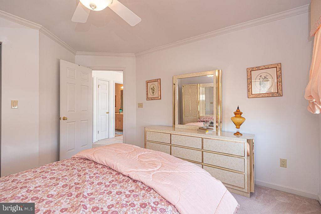 SWANN ESTATES - Residential